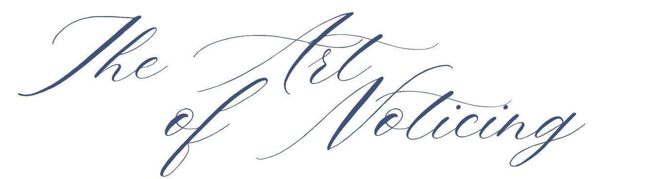 Elegant cursive script logo reading The Art of Noticing in dark navy blue calligraphy on white background.