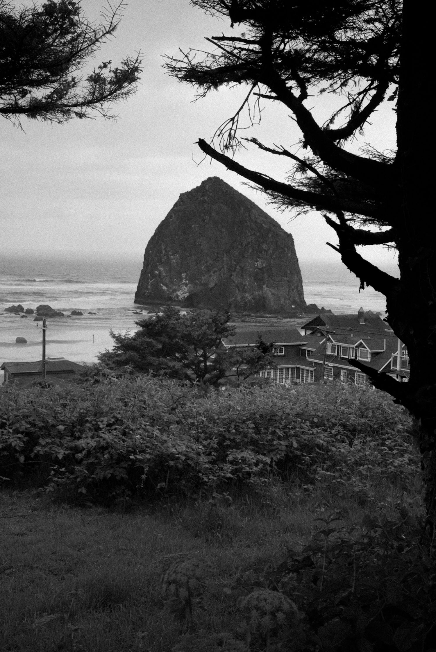 Black and white photo of Haystack Rock at Cannon Beach, Oregon, framed by pine trees and coastal vegetation.