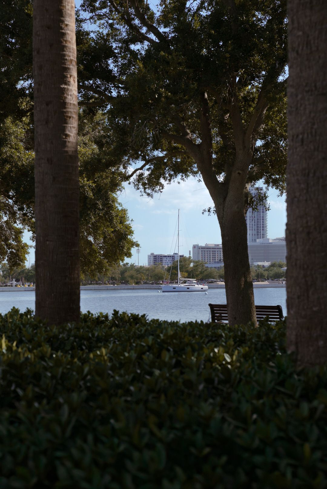 Sailboat anchored on calm bay waters viewed through palm trees and lush shrubs with city skyline in background.