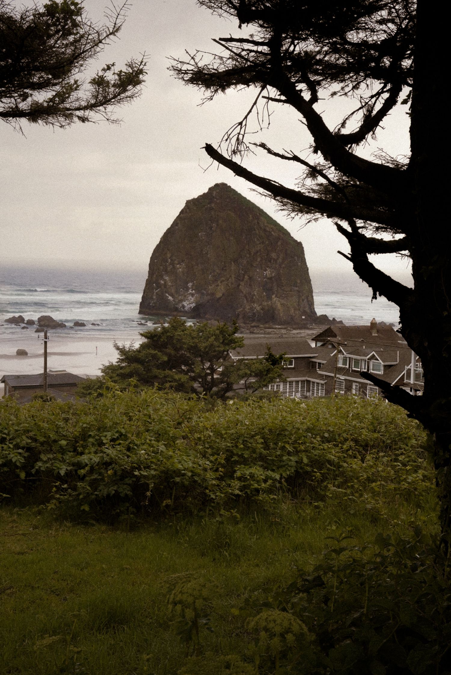 Haystack Rock at Cannon Beach, Oregon, framed by evergreen trees with coastal homes and lush greenery in the foreground.