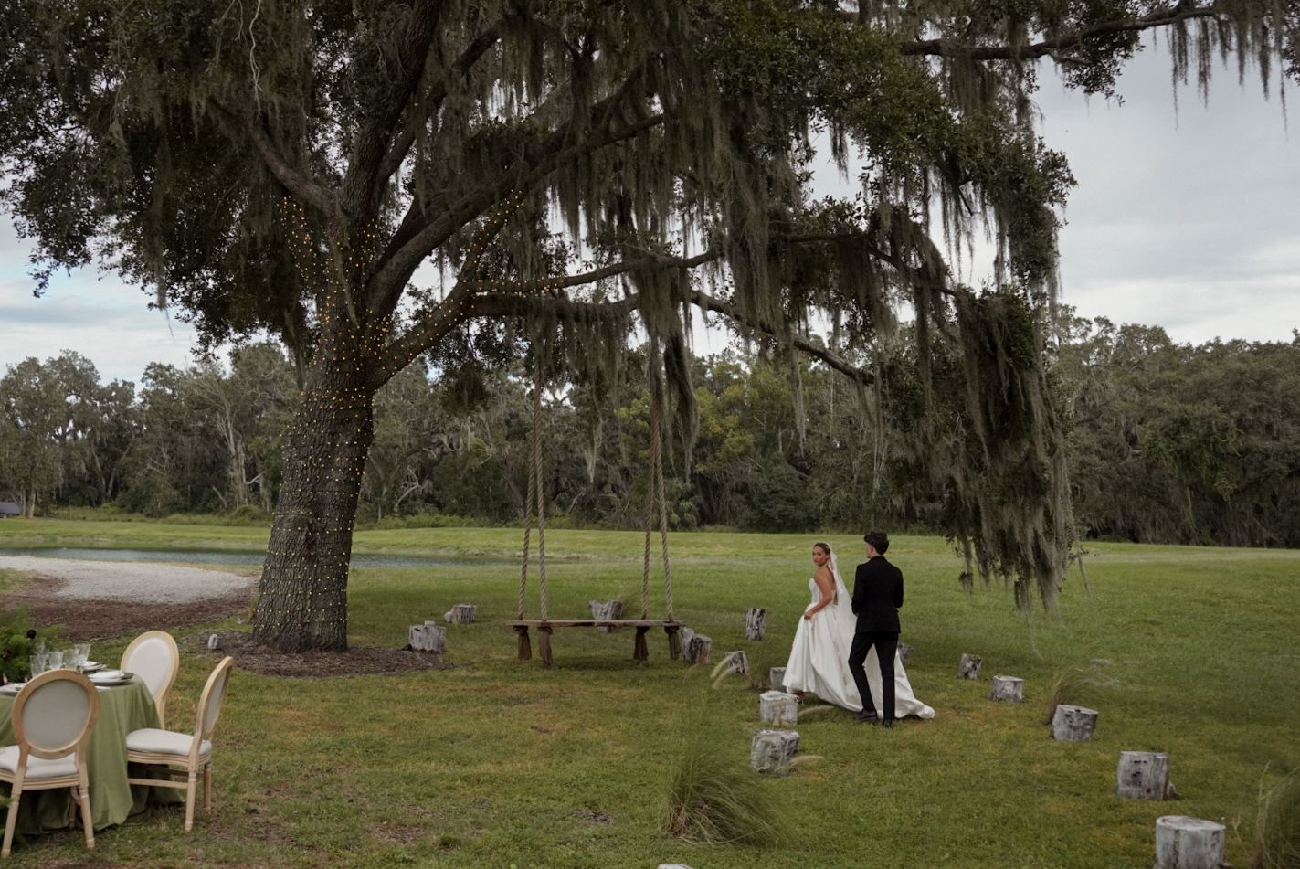 Panoramic view of a grassy field with oak trees draped in Spanish moss.
