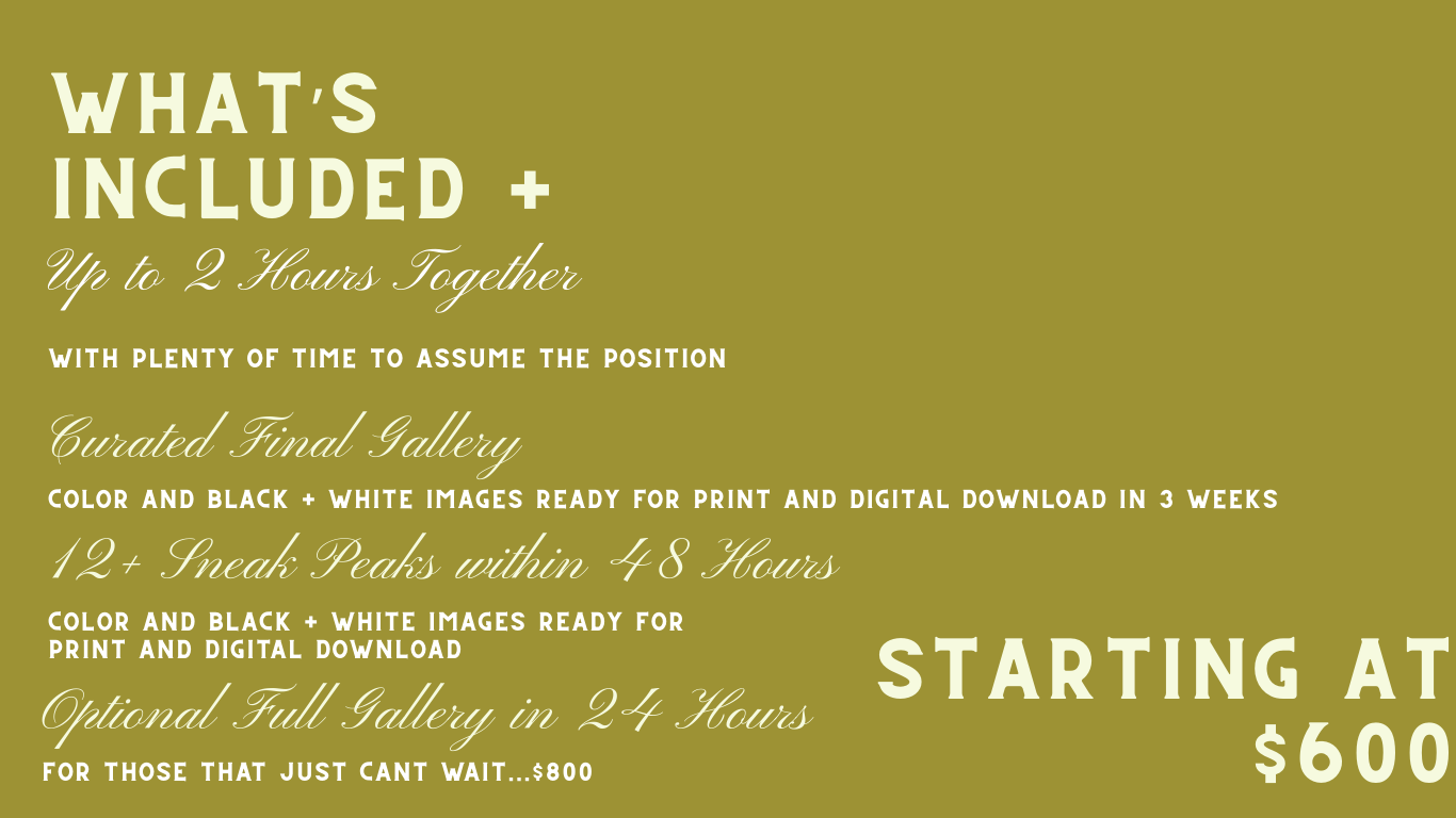 A close-up detail of a pricing menu or document showing text snippets and package information in olive green tones.