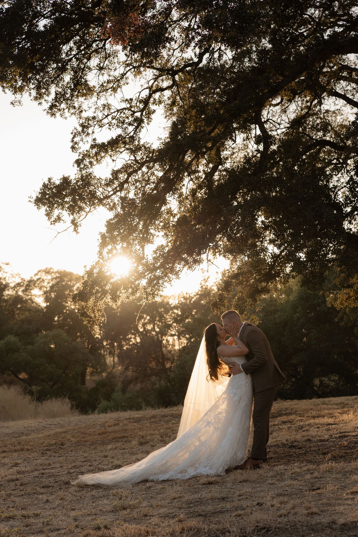 Bride and groom kissing at golden hour under a large oak tree in an open field, with sun rays glowing behind them.