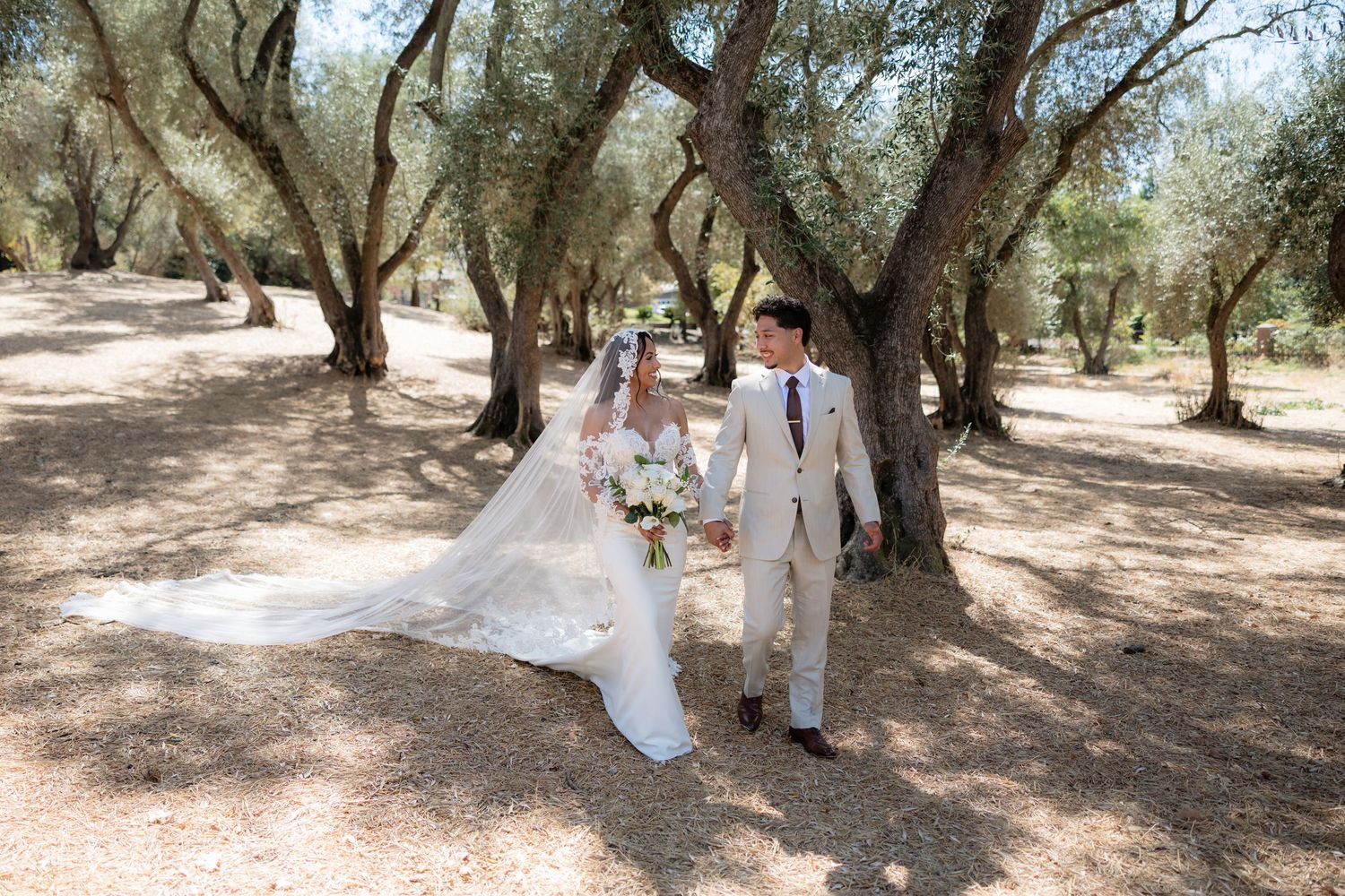 Bride and groom walk hand-in-hand through a sunlit olive grove, bride in a flowing white gown with long train.