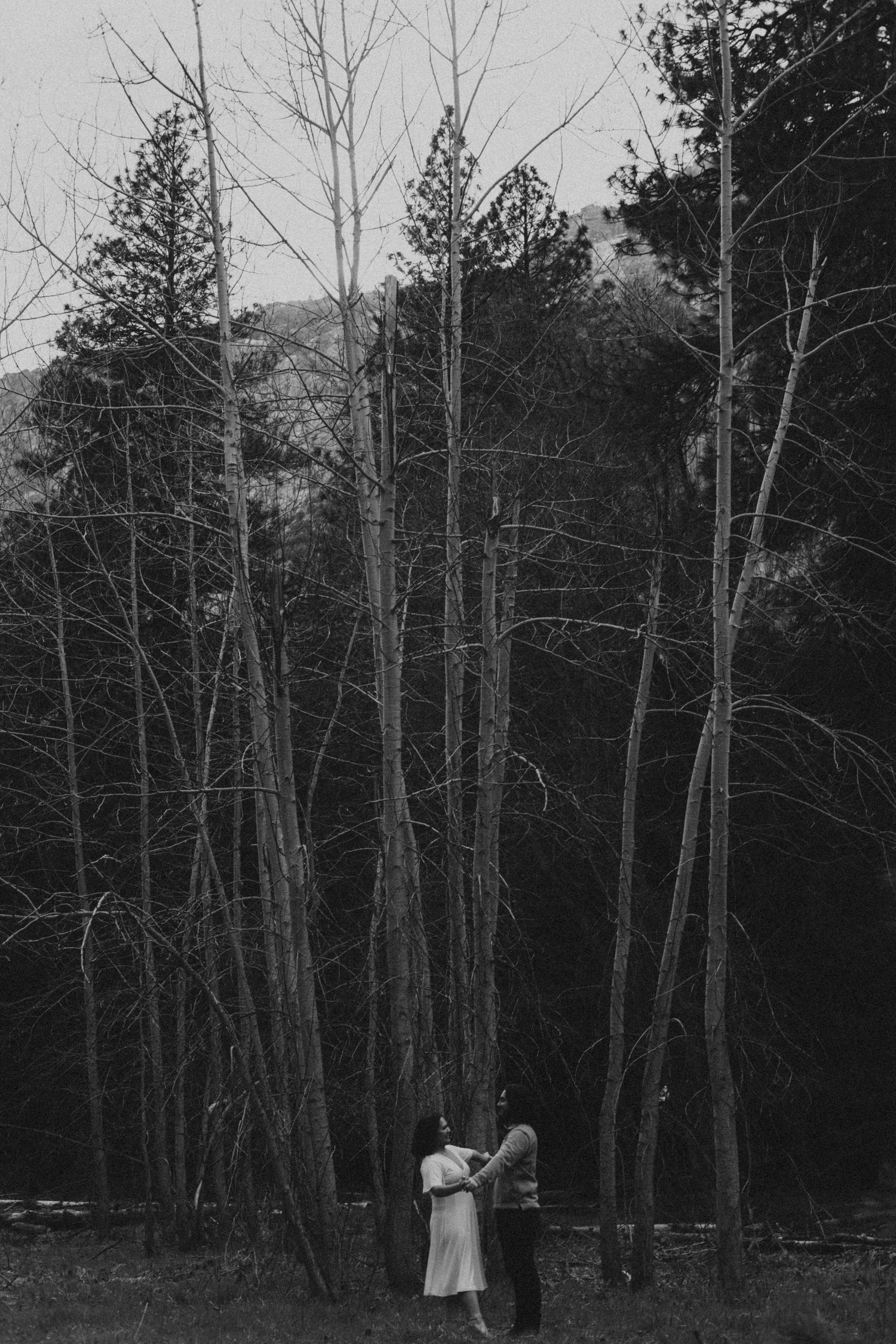 A couple embraces among tall bare trees in a moody black and white forest portrait.