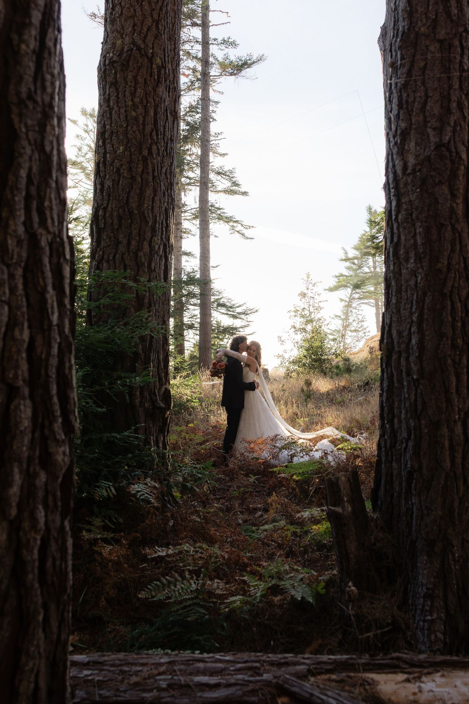 Bride and groom kissing in a forest clearing, framed by tall pine trees, with a flowing white wedding dress.