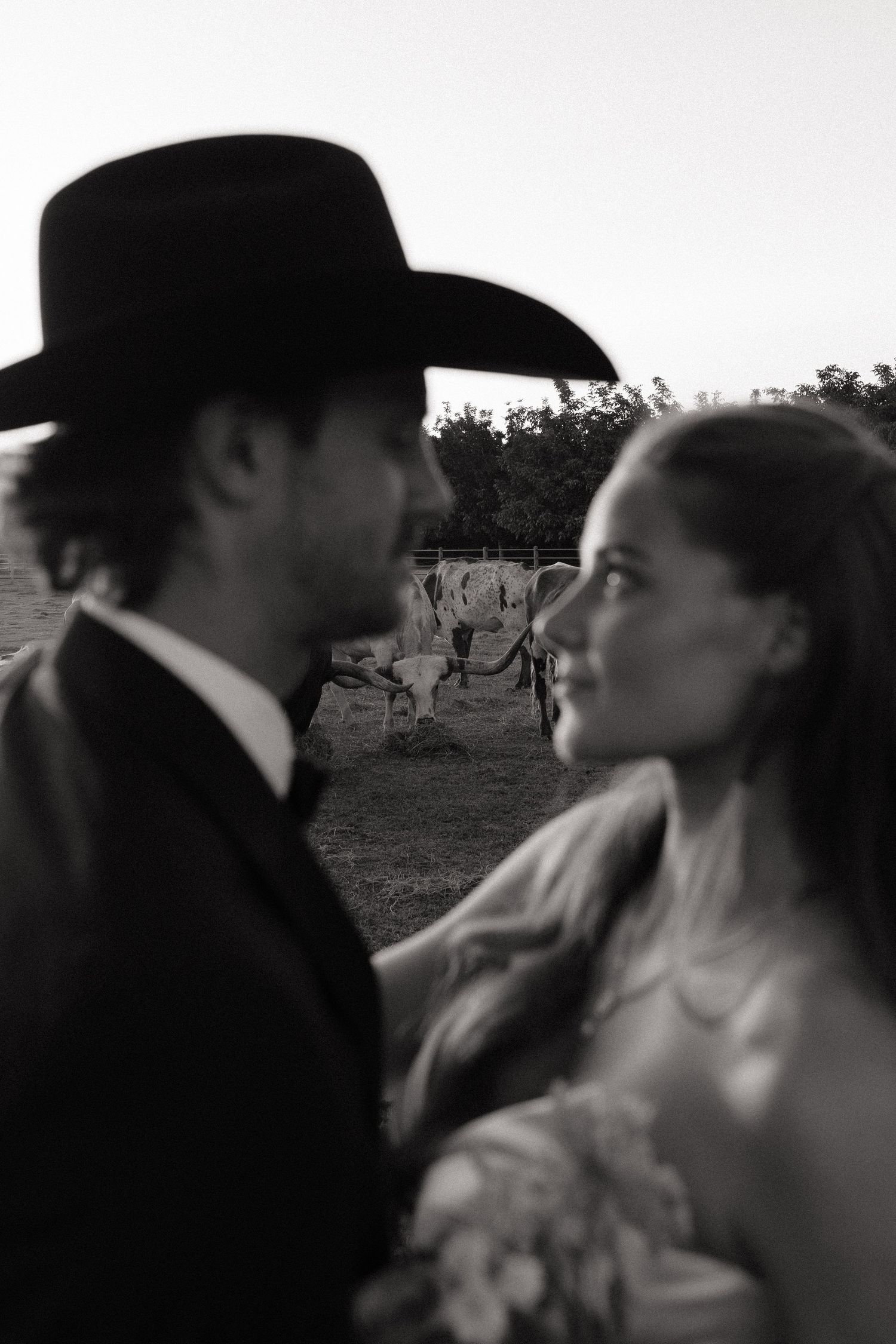 Black and white wedding photo of bride and groom in cowboy hat with longhorn cattle in background.
