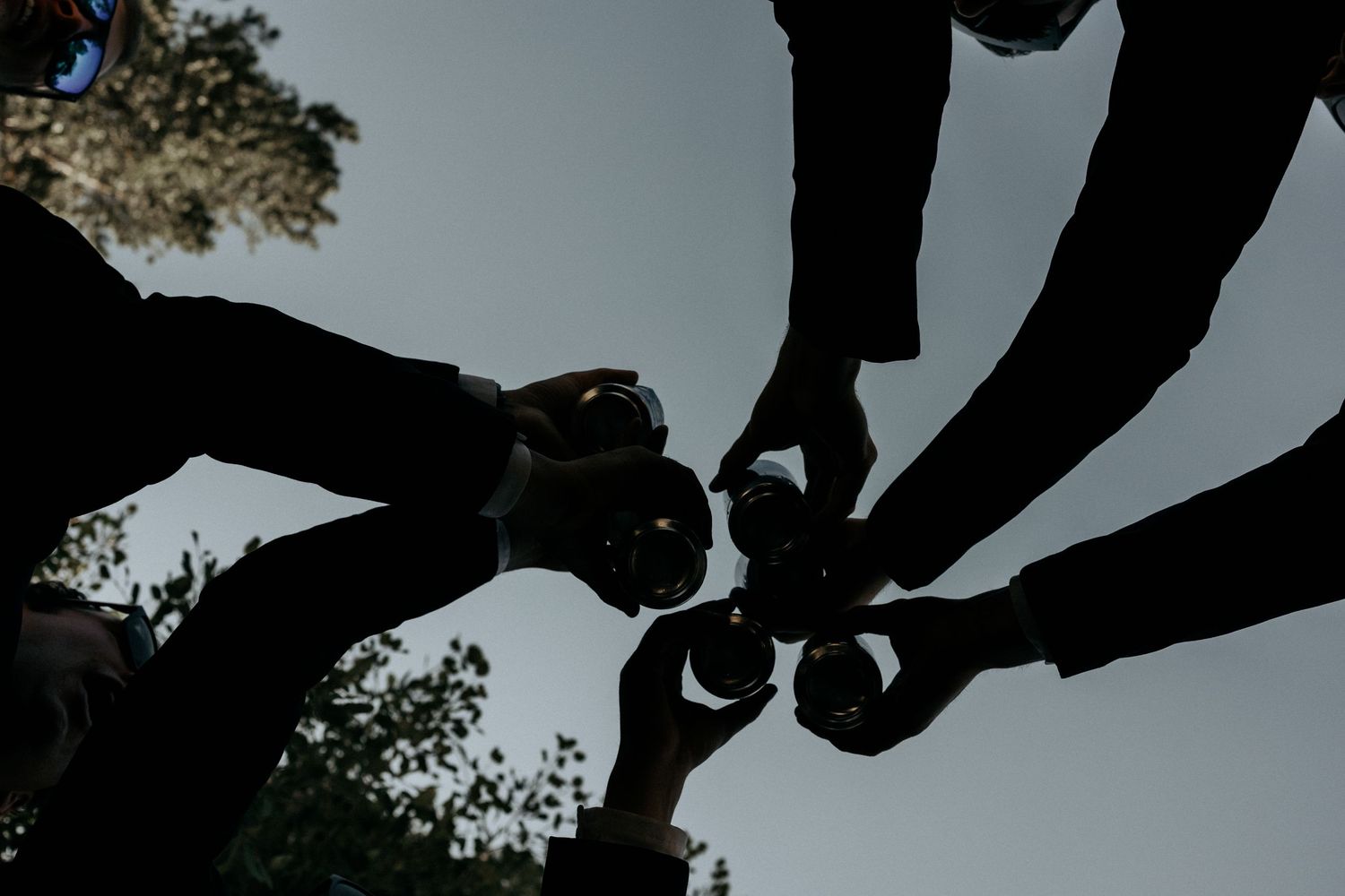 Silhouetted wedding guests raising glasses in a celebratory toast against an evening sky.