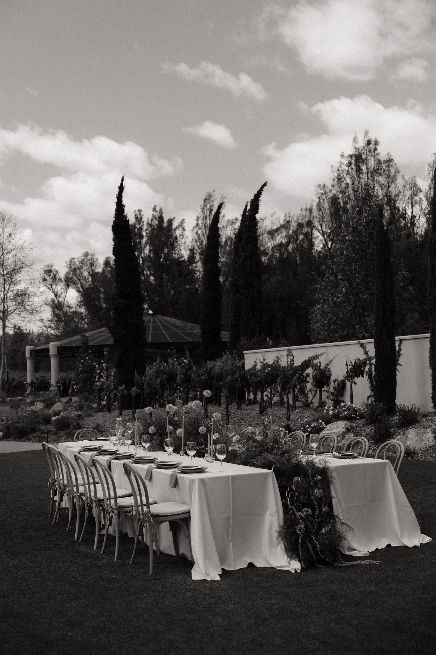 Elegant outdoor wedding reception table set with white linens surrounded by cypress trees.