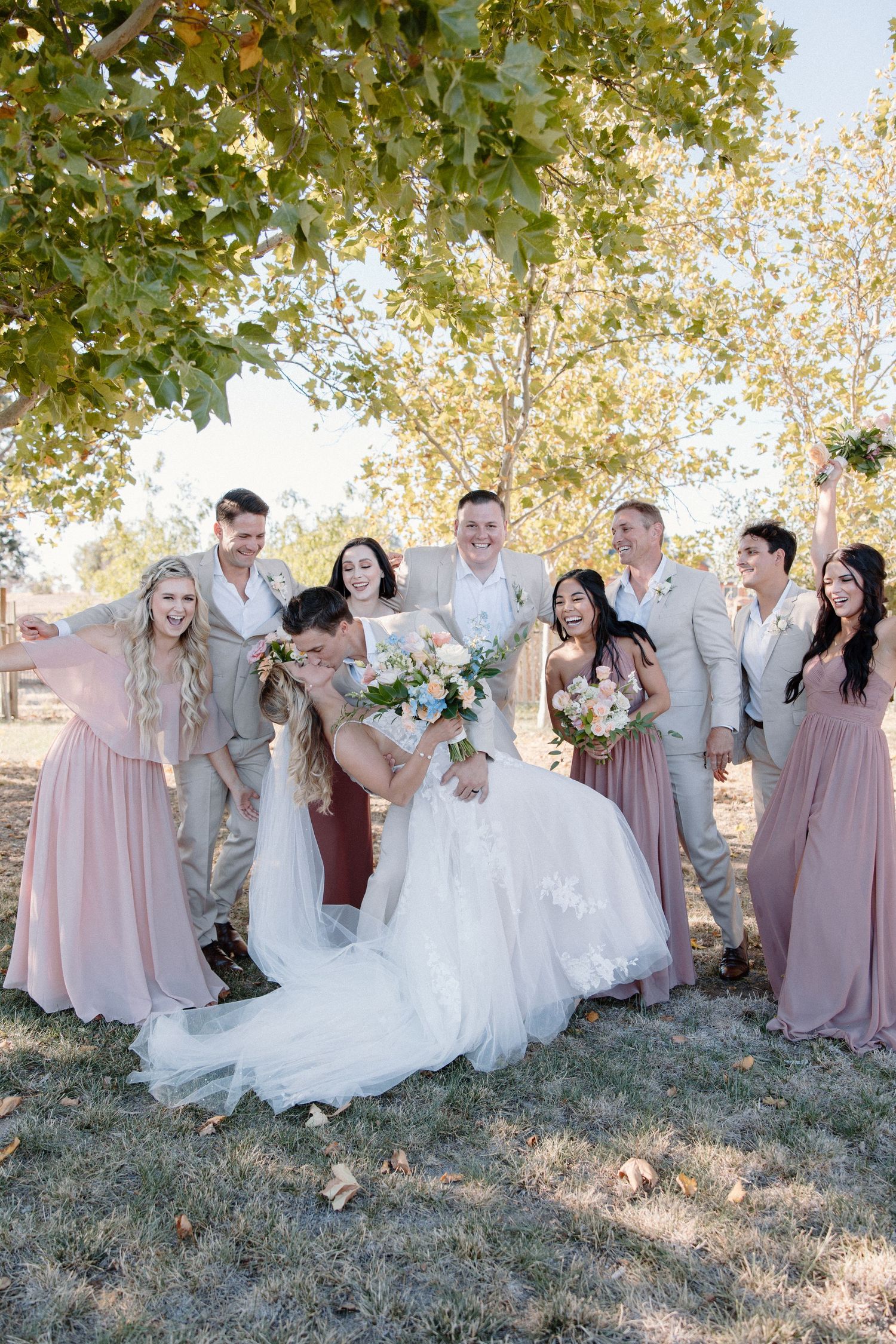 Wedding party laughing outdoors as groom dips bride surrounded by bridesmaids in dusty rose gowns.
