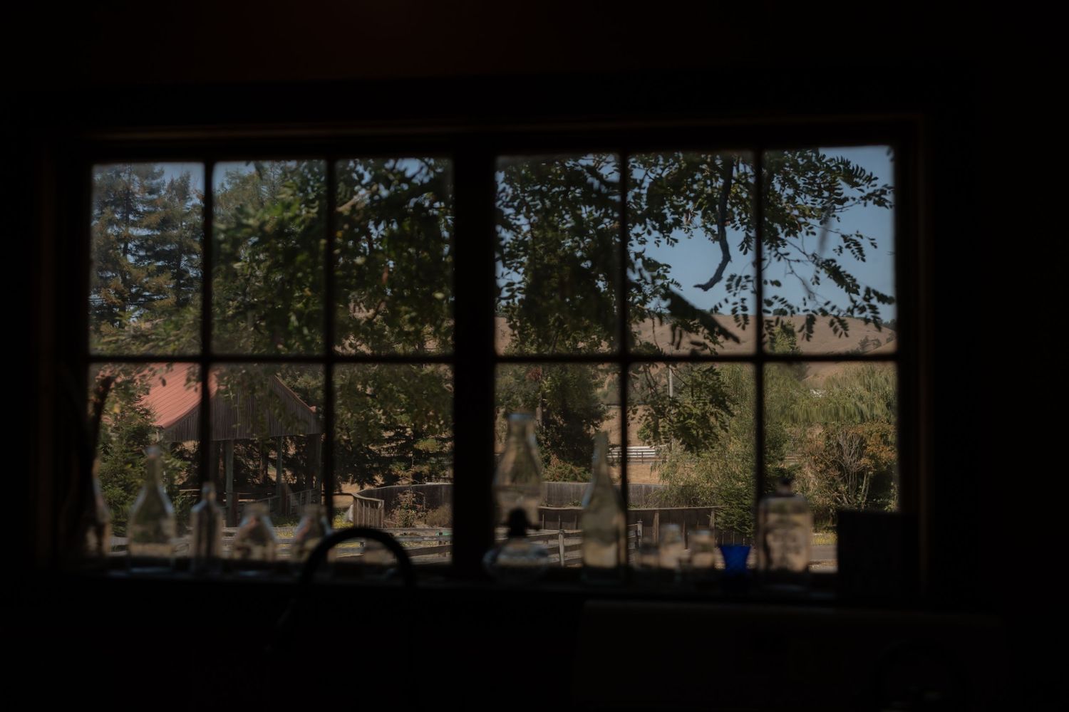 Dark interior view through a multi-pane window overlooking lush green trees and a sunny outdoor garden.