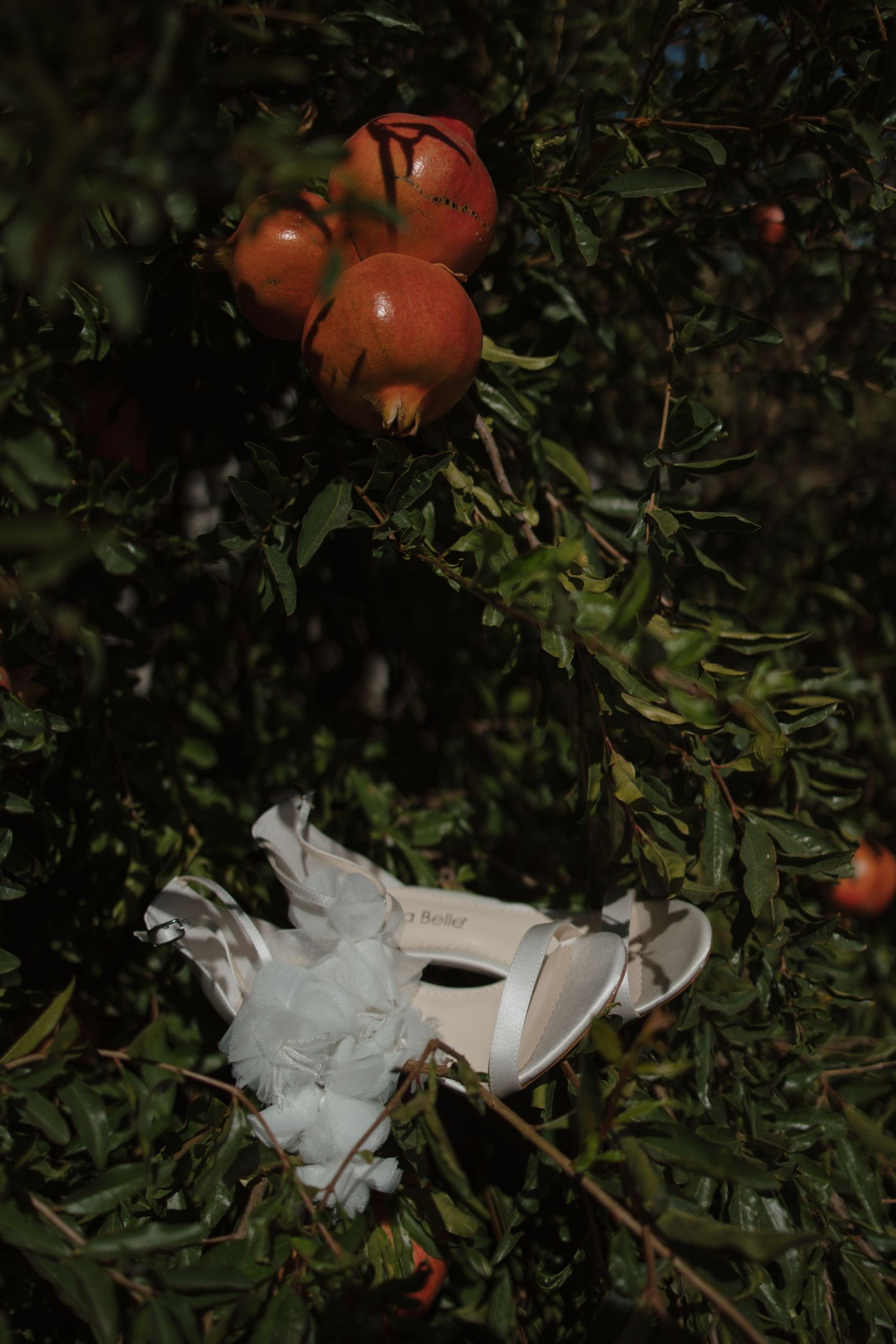 White bridal heels with floral detail resting in a pomegranate tree with ripe red fruit.