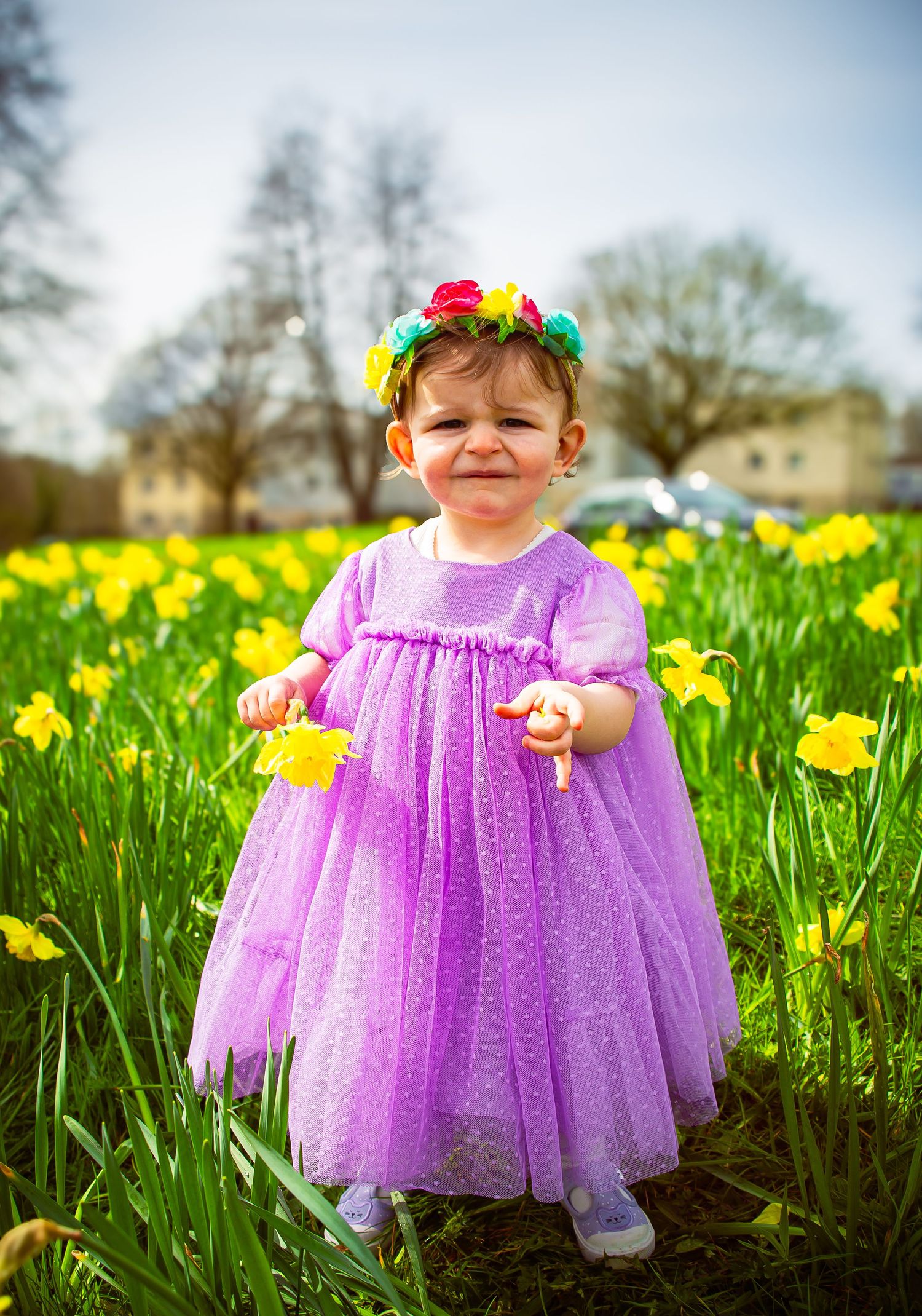 One-year-old girl wearing a purple dress among spring daffodils