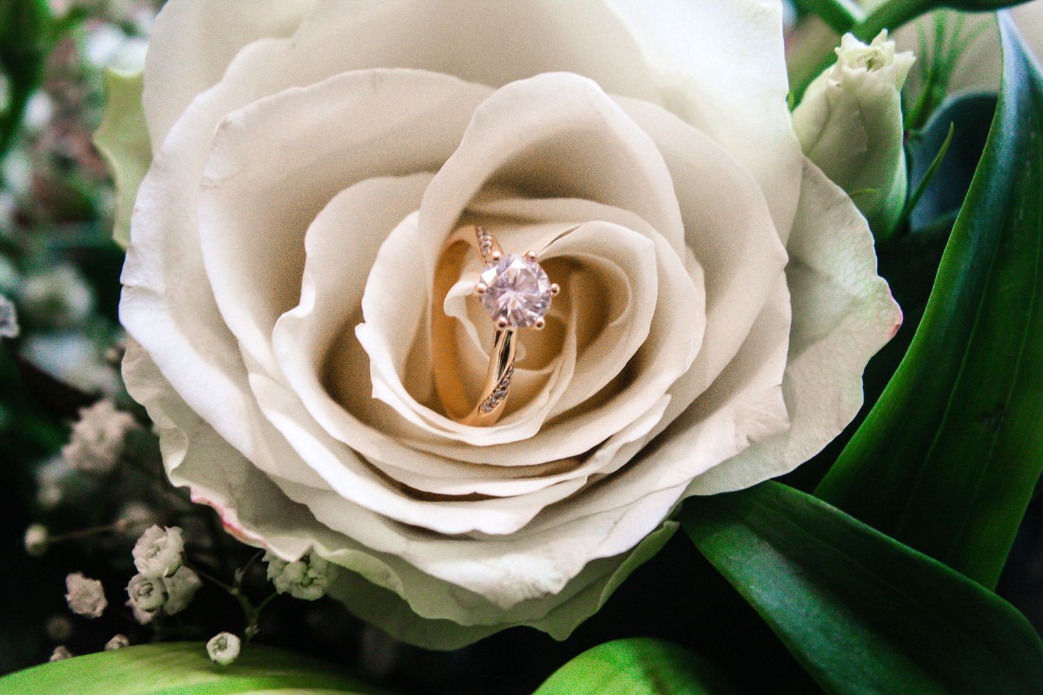 Wedding ring displayed inside a white rose