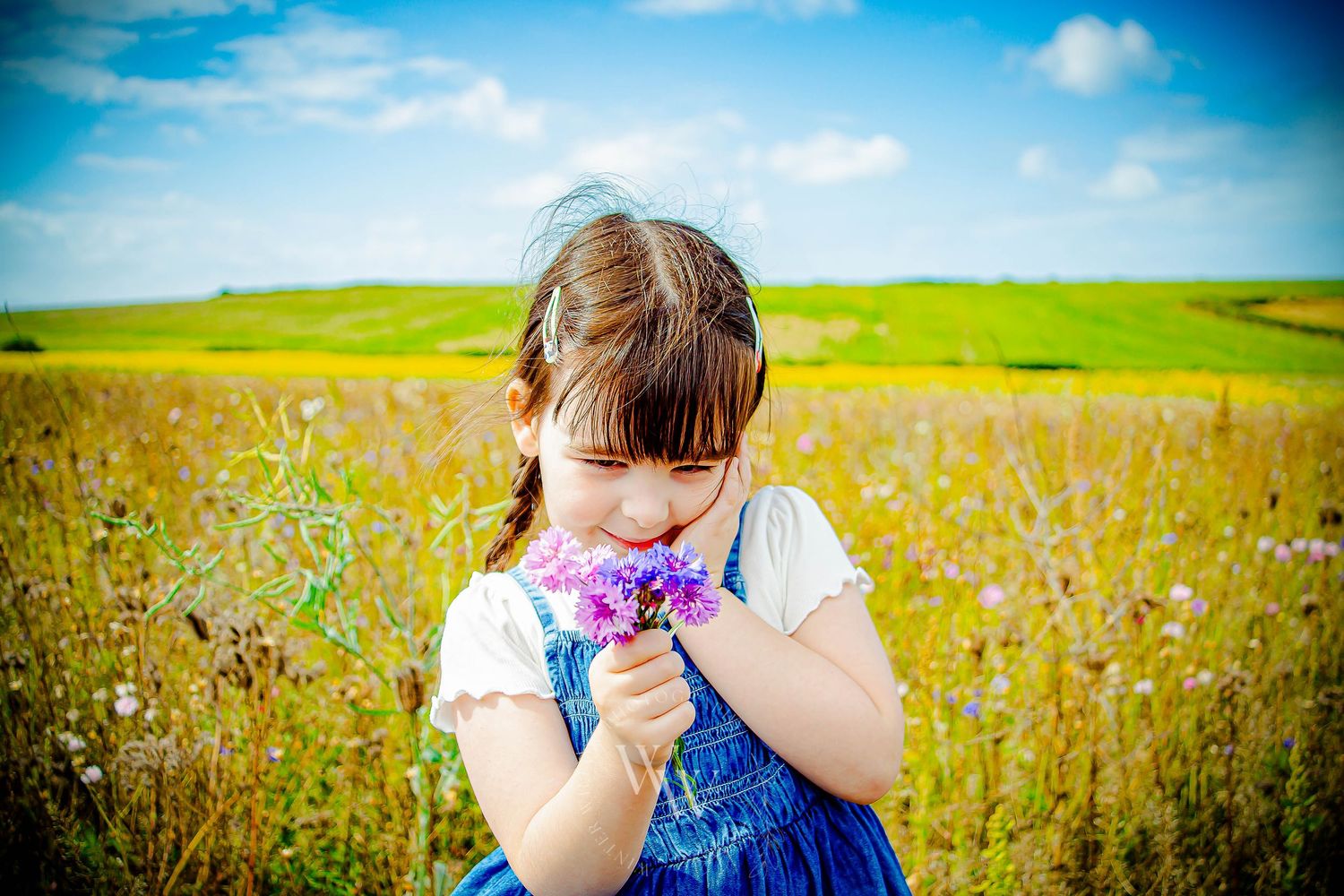Young girl examining wildflowers in a sunny countryside meadow