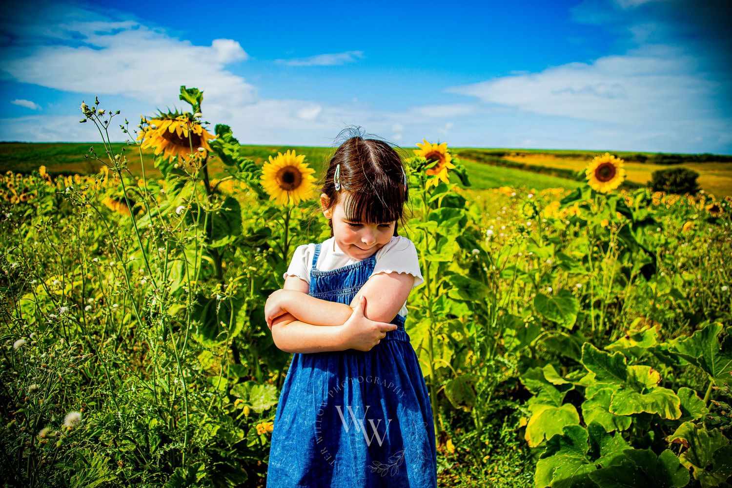 Little girl in a blue dress looking towards sunflowers at Rosedew Farm