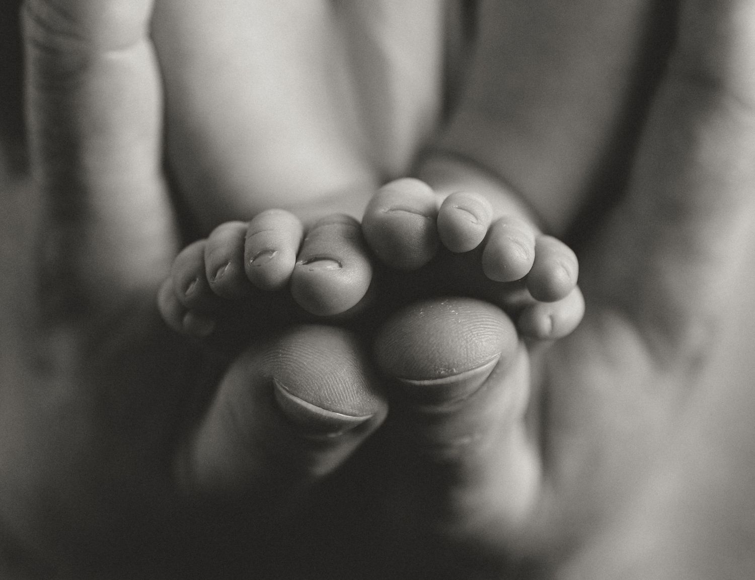 Black and white close-up of newborn babys tiny feet cradled in parents hands.