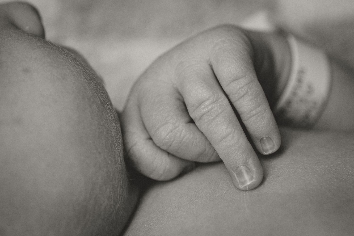 Close-up black and white photo of a newborn baby's tiny hand with hospital ID bracelet.