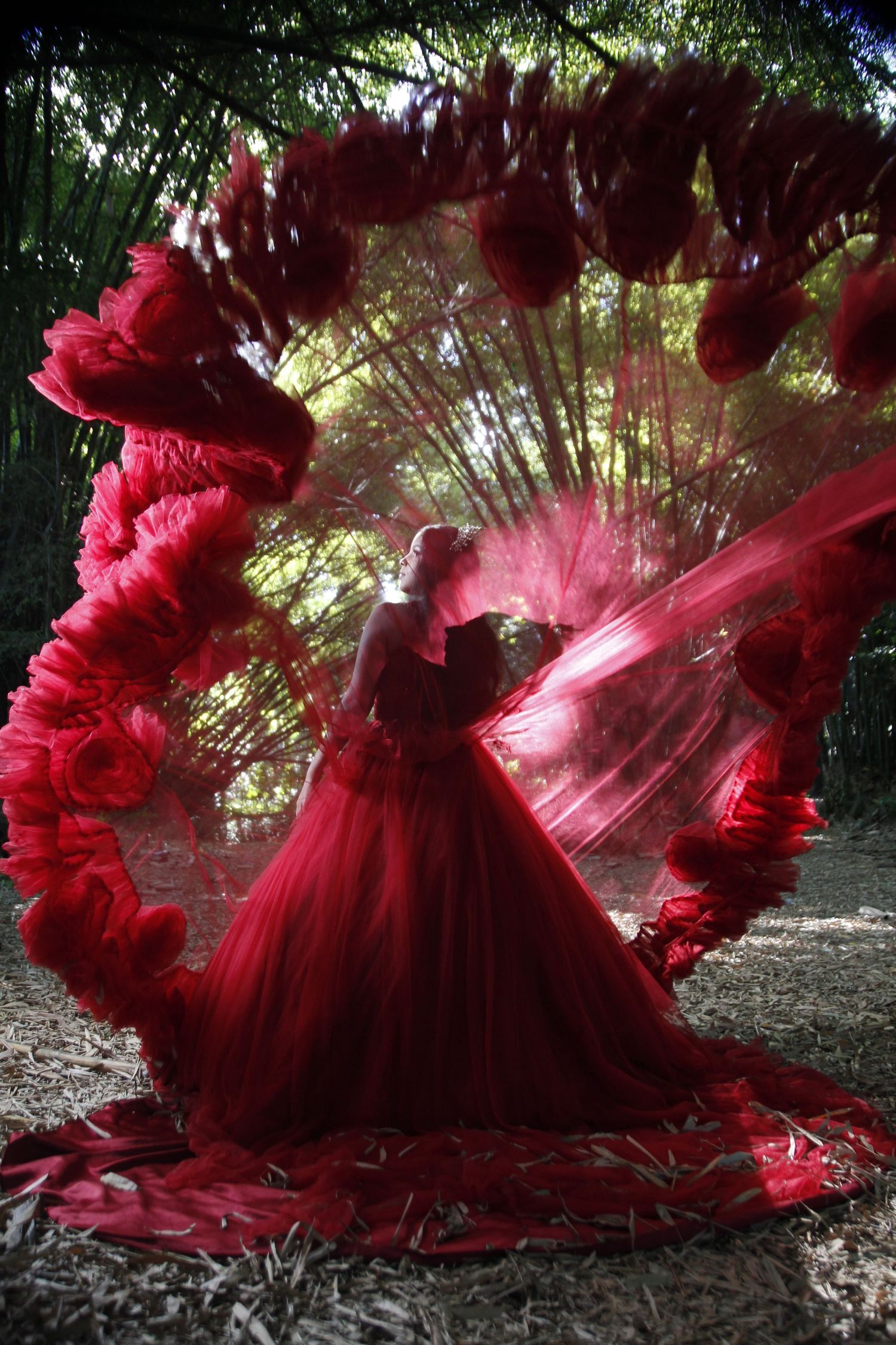 Fine art quinceañera photography in Philadelphia by Alba Paredes