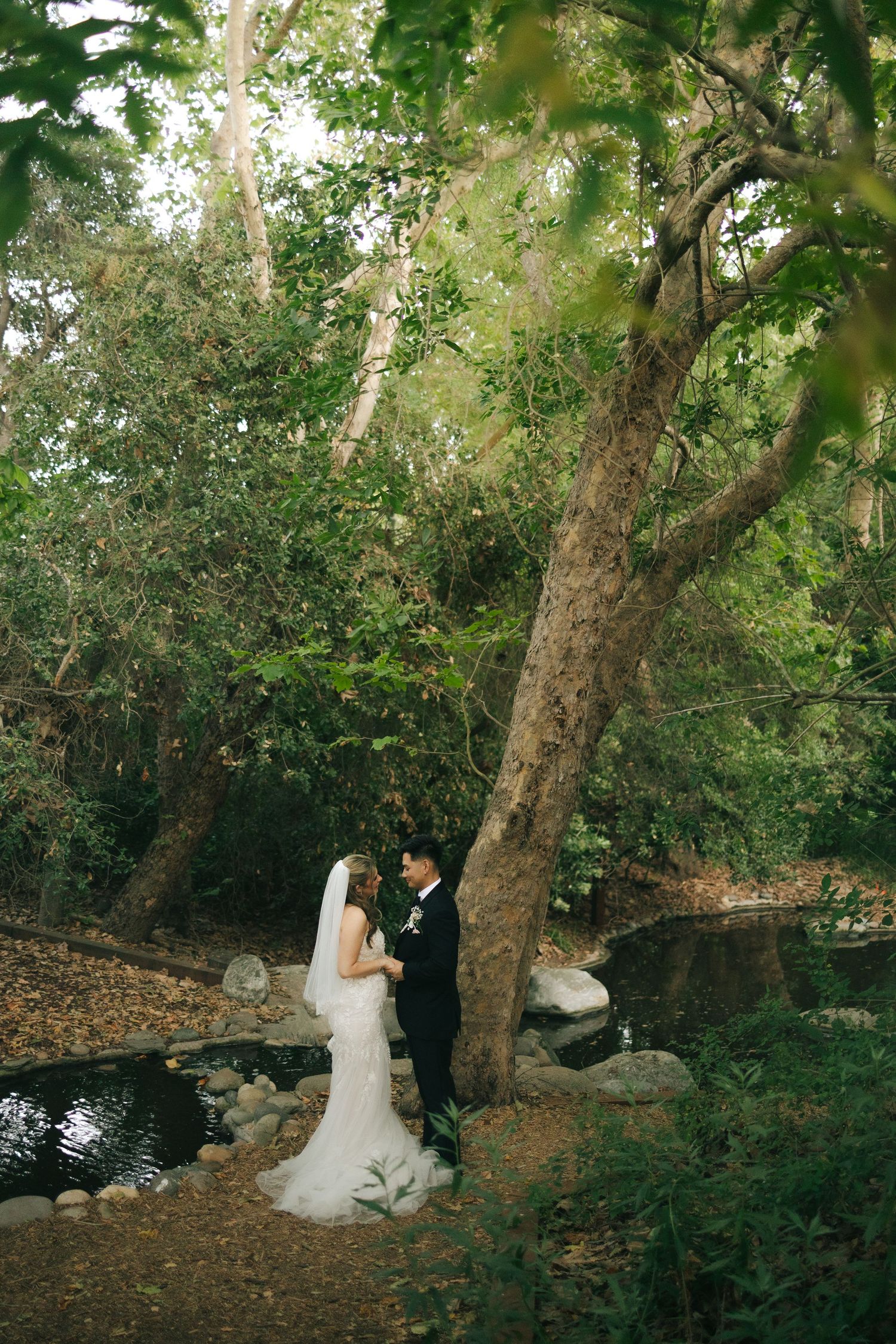 Newlyweds hold hands facing each other beneath large tree beside tranquil pond in garden setting.
