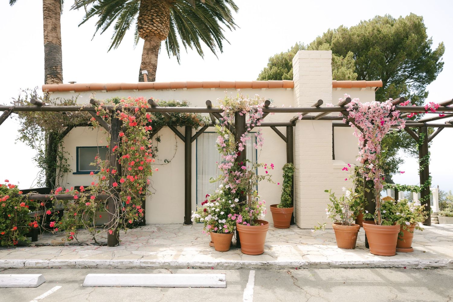White Mediterranean-style venue covered in pink bougainvillea with terracotta flower pots outside.