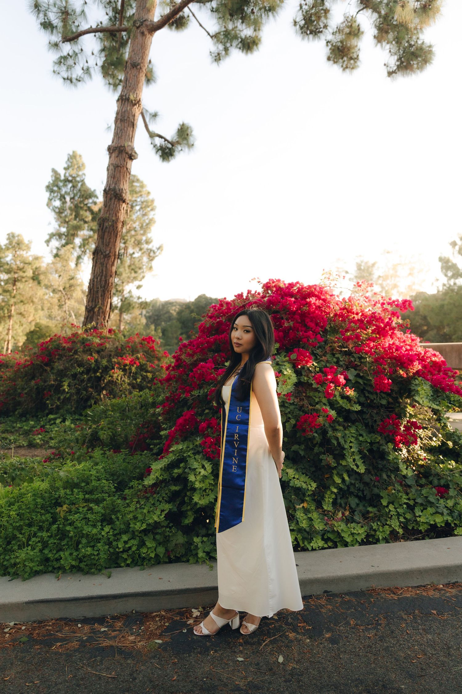 Graduate in white dress and blue UCLA sash standing before vibrant red bougainvillea bushes.