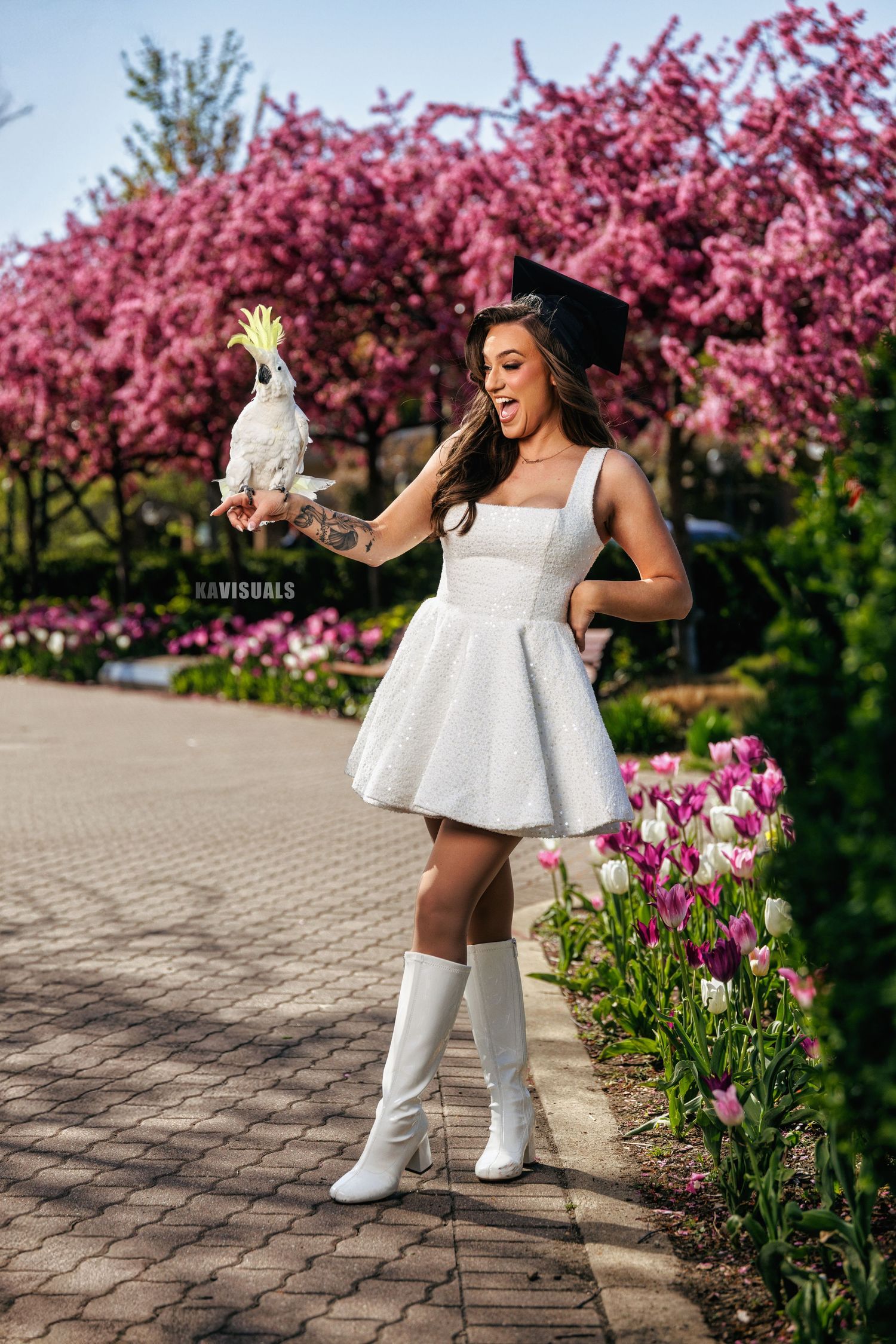 Graduate in white dress and cap holding white cockatoo bird near pink cherry blossom trees and tulips.