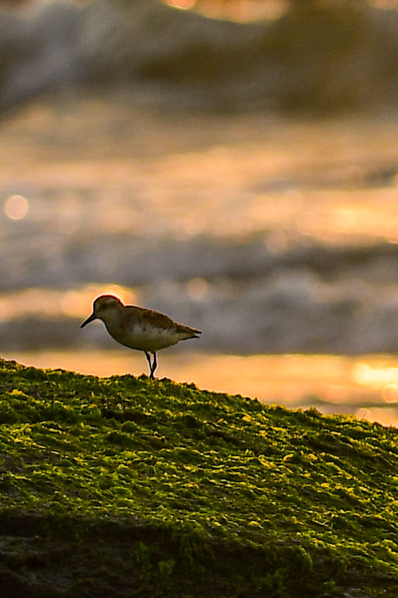 Margate NJ
