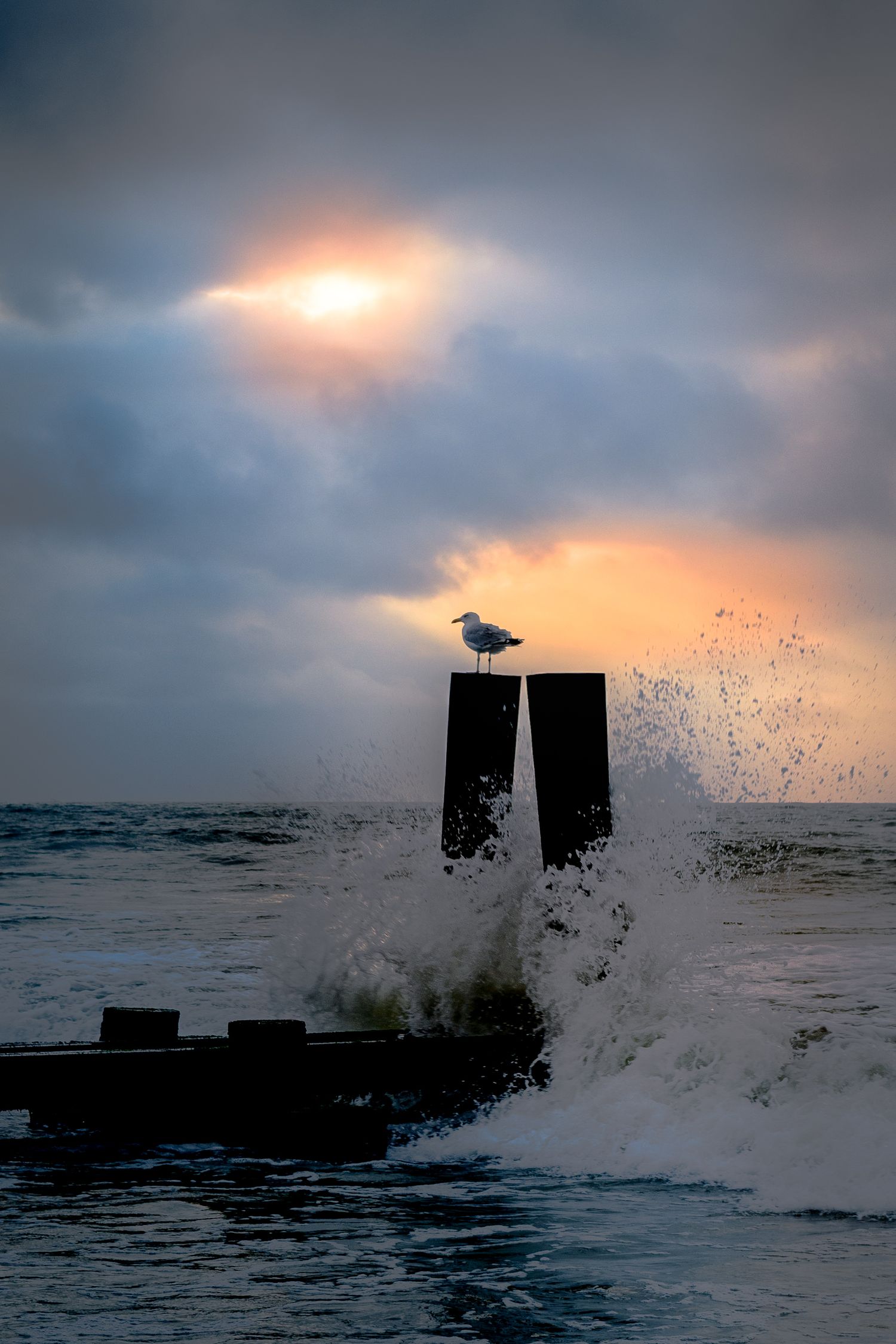 Break of Dawn Longport NJ