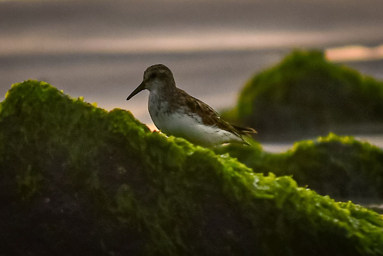 Margate NJ