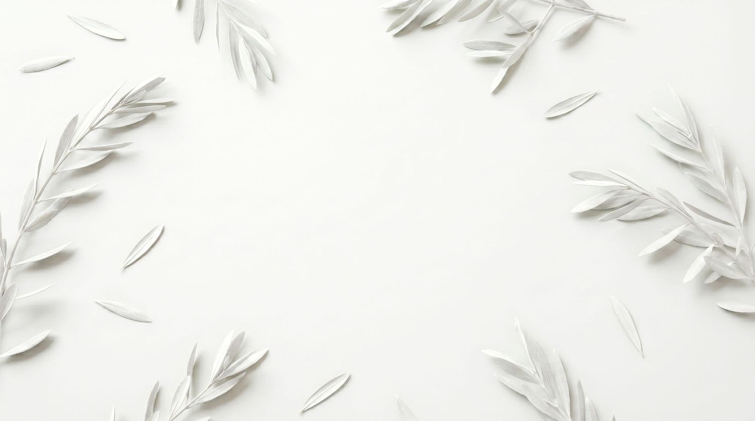 Minimalist white background with delicate silver-green olive branches arranged in an elegant circular frame border.
