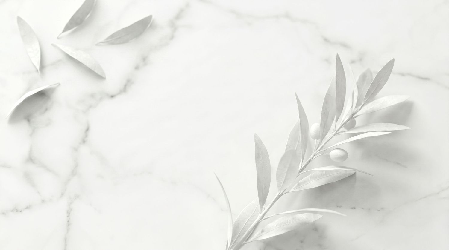 White marble background with elegant silver-gray olive branches and leaves in minimalist botanical design.