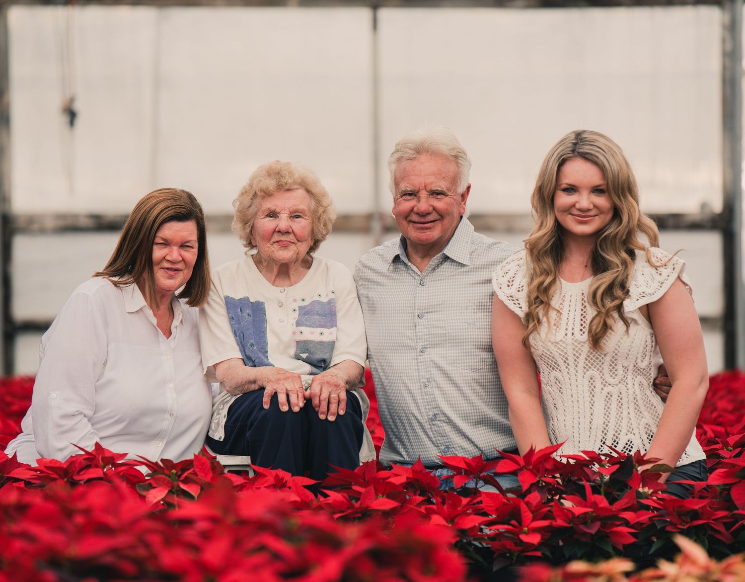 A group of people sitting together outdoors with bright red poinsettia flowers in the foreground.