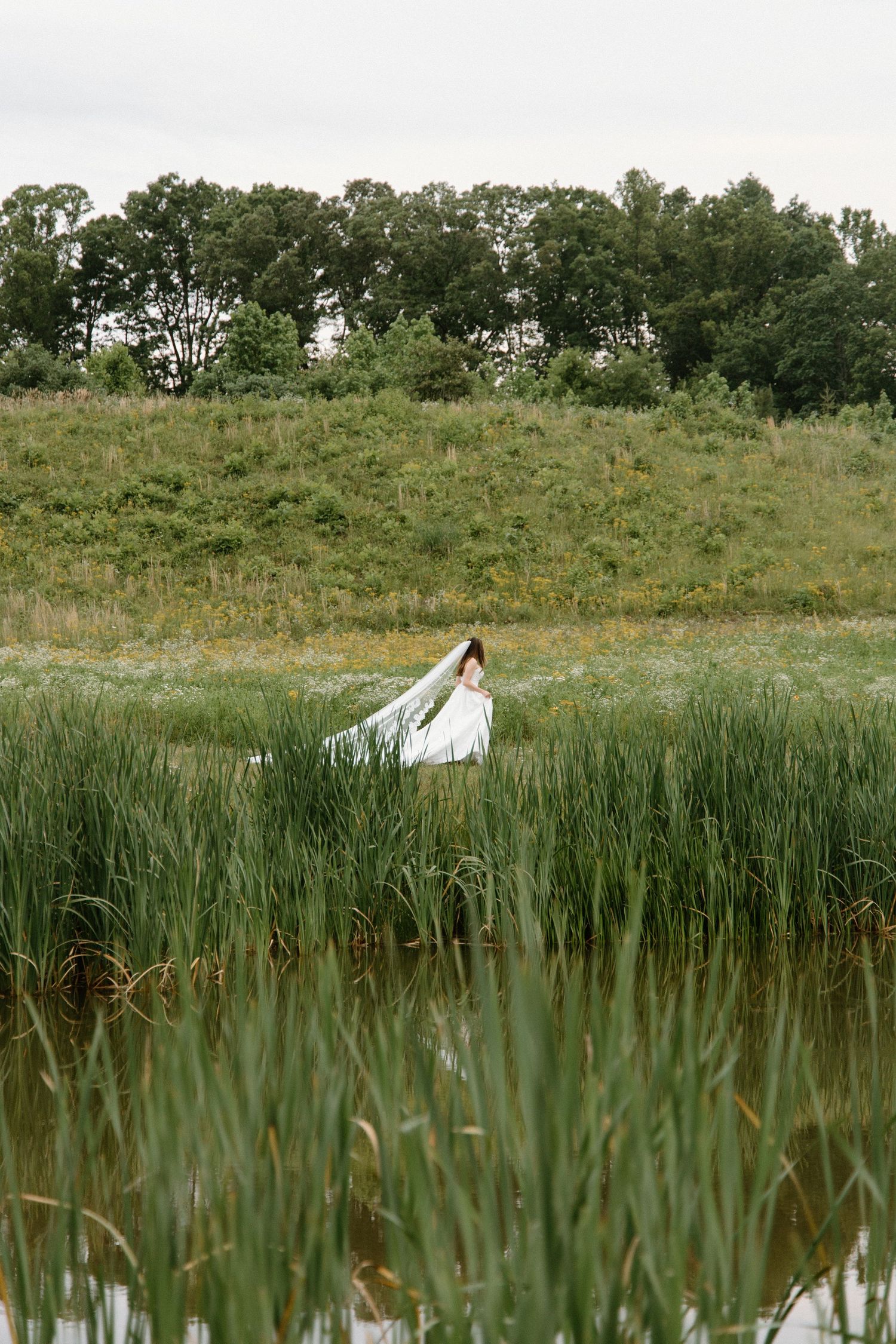 A figure in a white dress stands amid tall marsh grass near a tranquil pond with trees in the background.