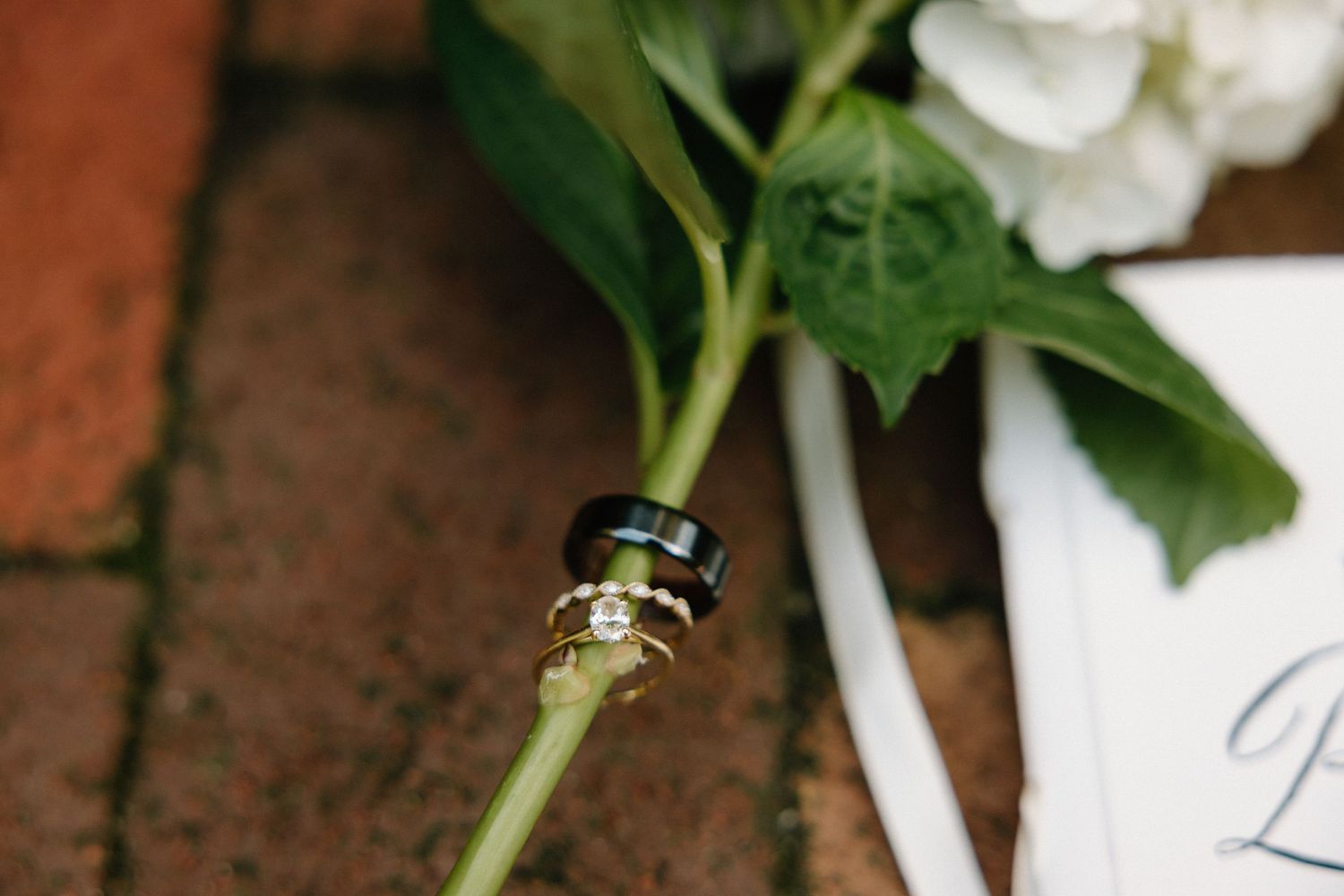 A white peony flower with delicate petals blooms against a rustic brown background.