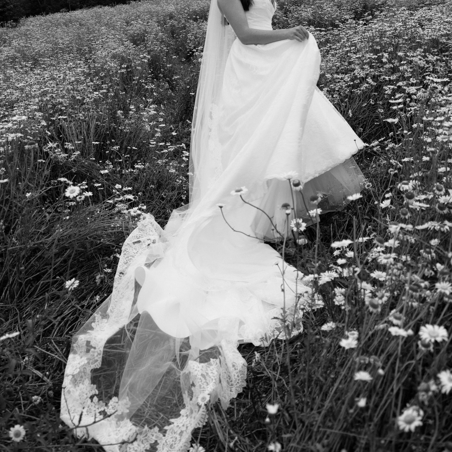 A figure in a flowing white dress twirls gracefully through a field of blooming daisies on a summer day.