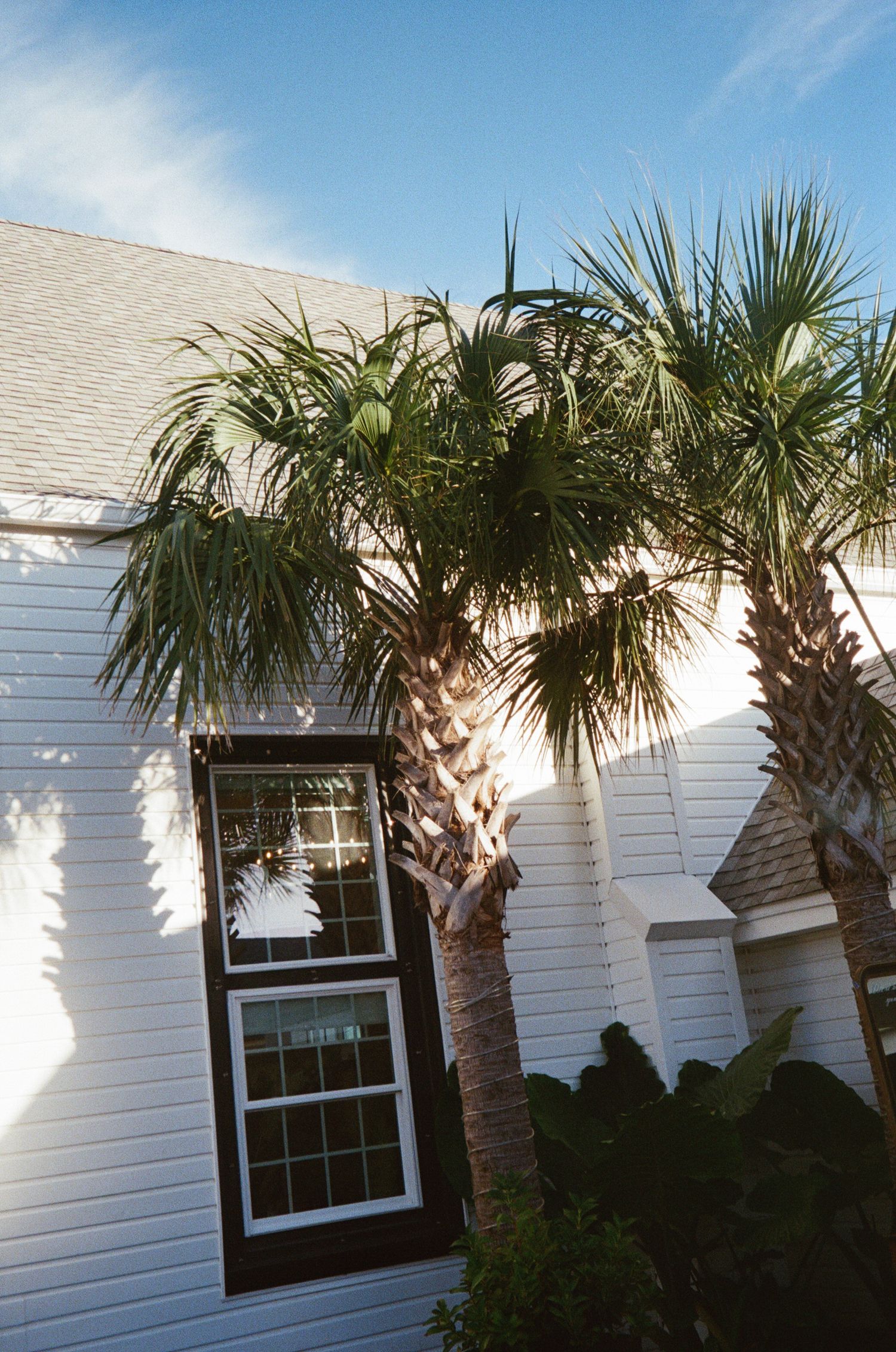 White beach house exterior with palm trees casting shadows against siding and windows in tropical setting.
