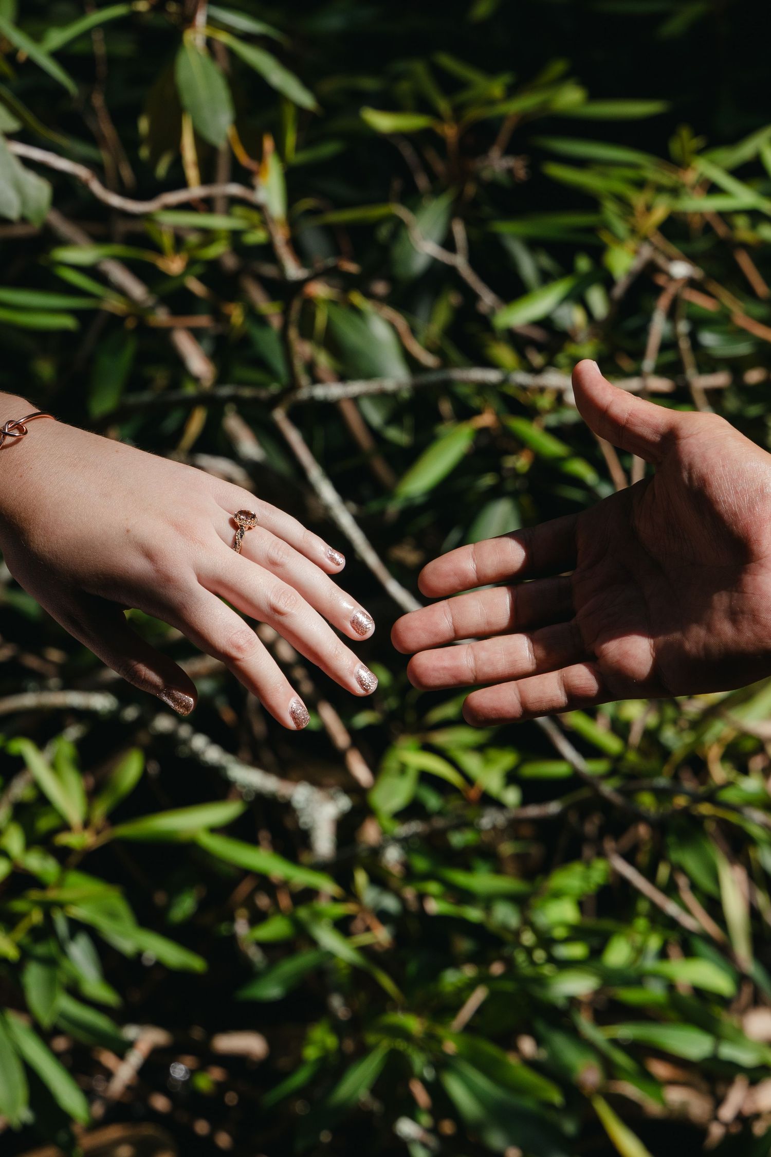 Two hands reaching toward each other showing engagement rings against green foliage.
