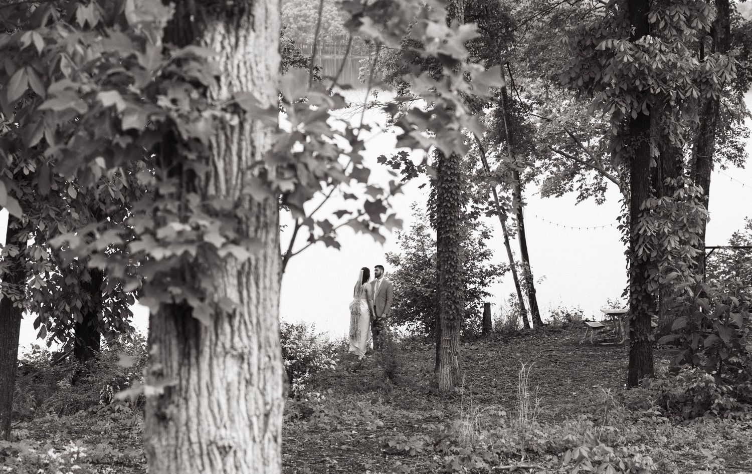 A black and white landscape photograph of trees and foliage in a misty setting.