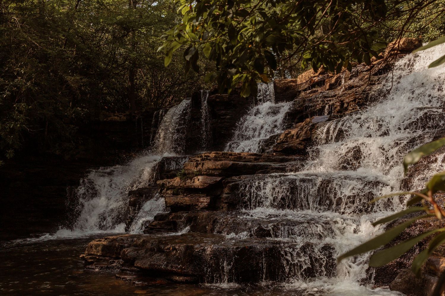 Cascades, virginia, hiking, nature, outdoor photography, nature photography,