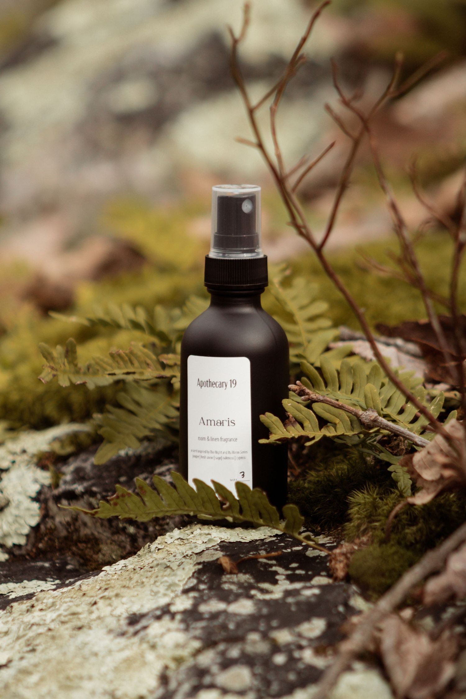 outdoor product photography, lifestyle, nature, moss, lichen, fern, rock, small business, brand