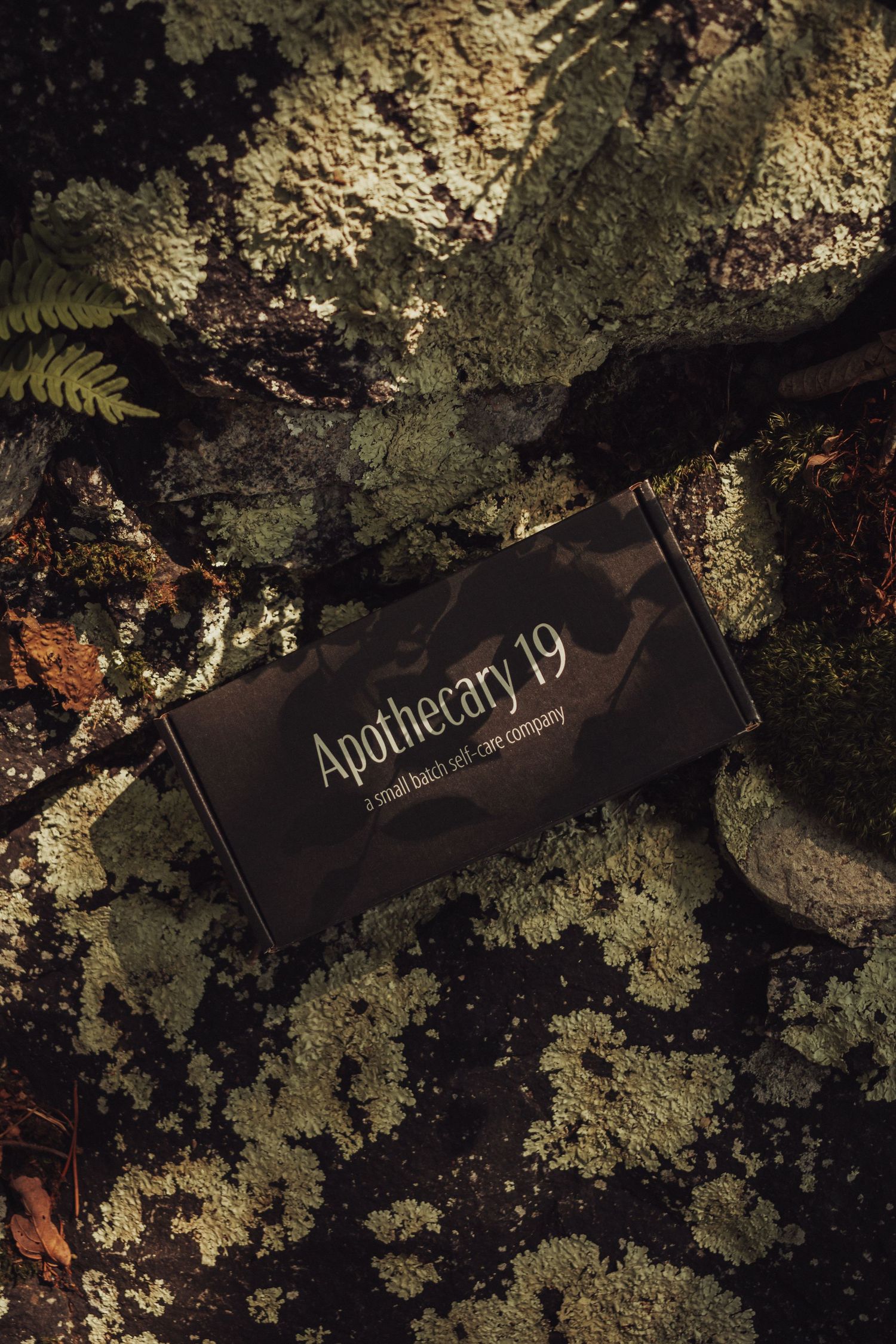 outdoor product photography, lifestyle, nature, moss, lichen, fern, rock, small business, brand