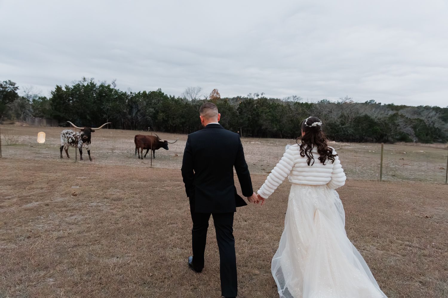 A couple in wedding attire walks through a rustic field with horses grazing in the background.