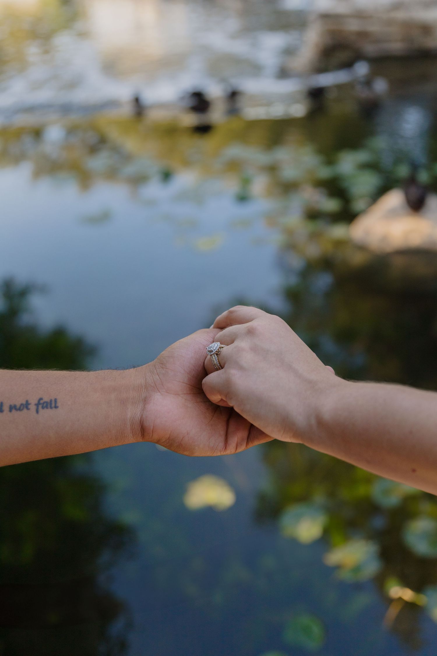 Two hands clasp together showing an engagement ring against a pond background with ducks.