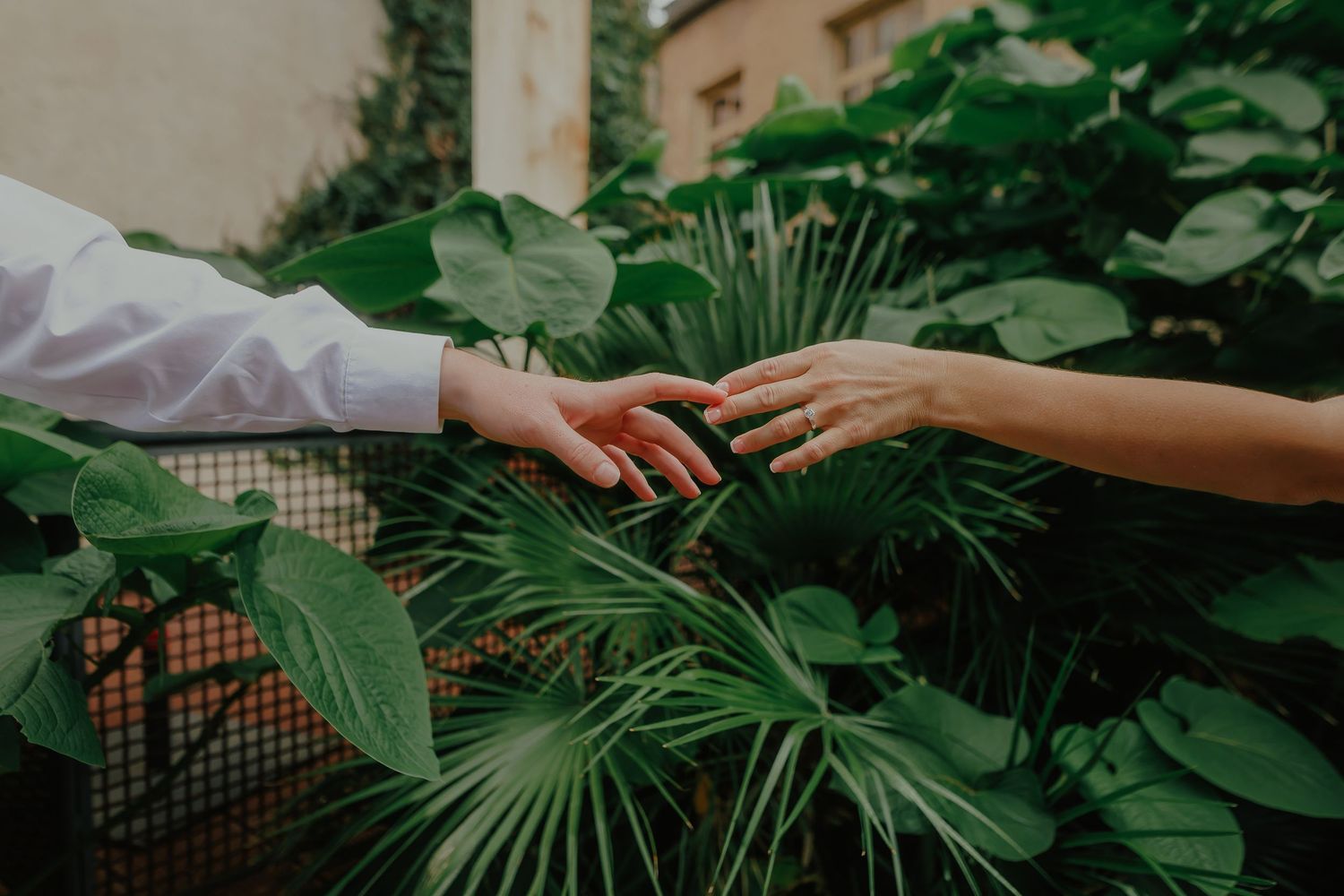 Two hands reach towards each other over tropical plants and greenery in a garden setting.
