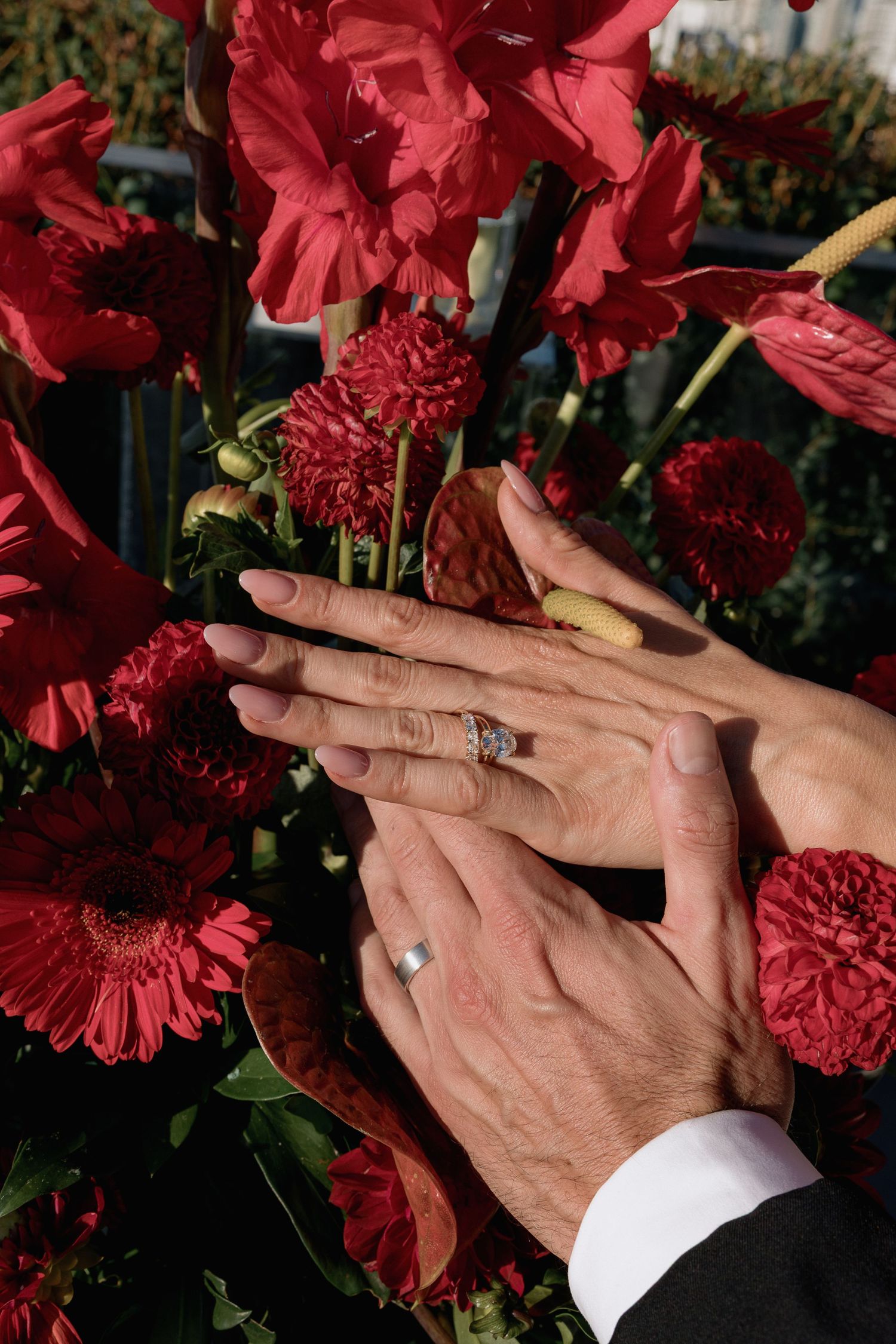 Close-up of hands with wedding rings among vibrant red flowers.