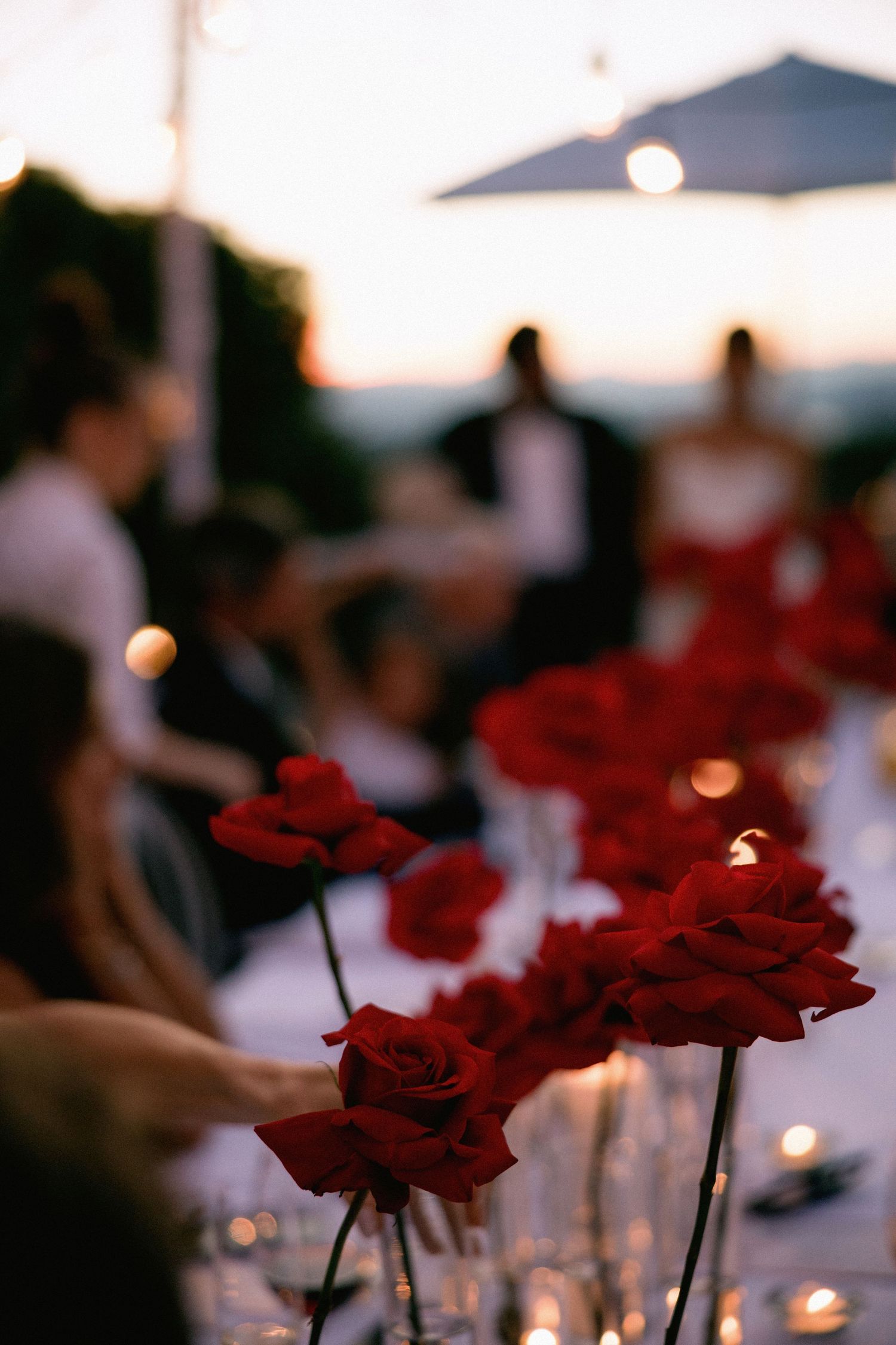 Red roses in glass vases on dining table at sunset reception.