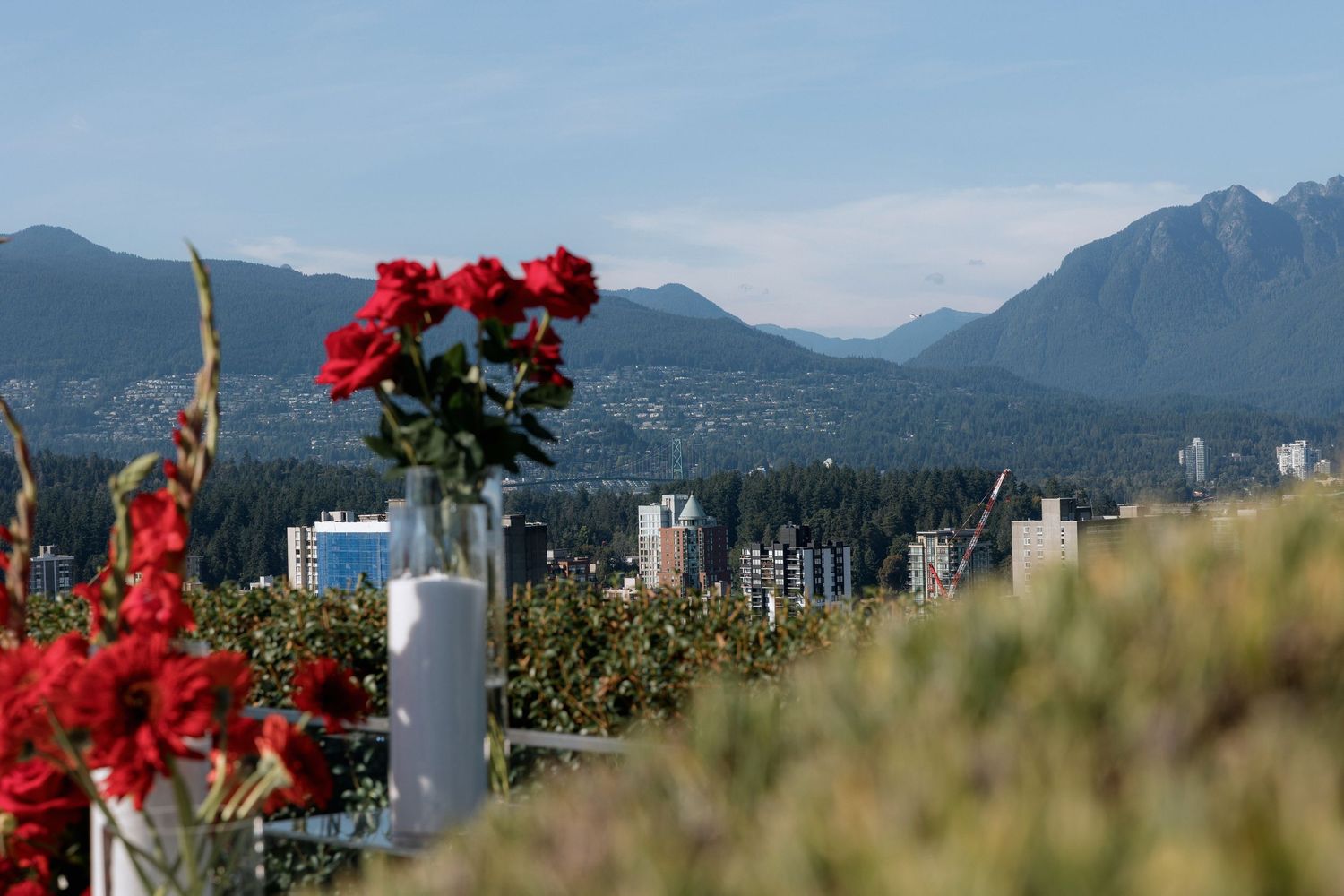 Panoramic view of Vancouver's skyline with mountains in the background and red flowers in the foreground.