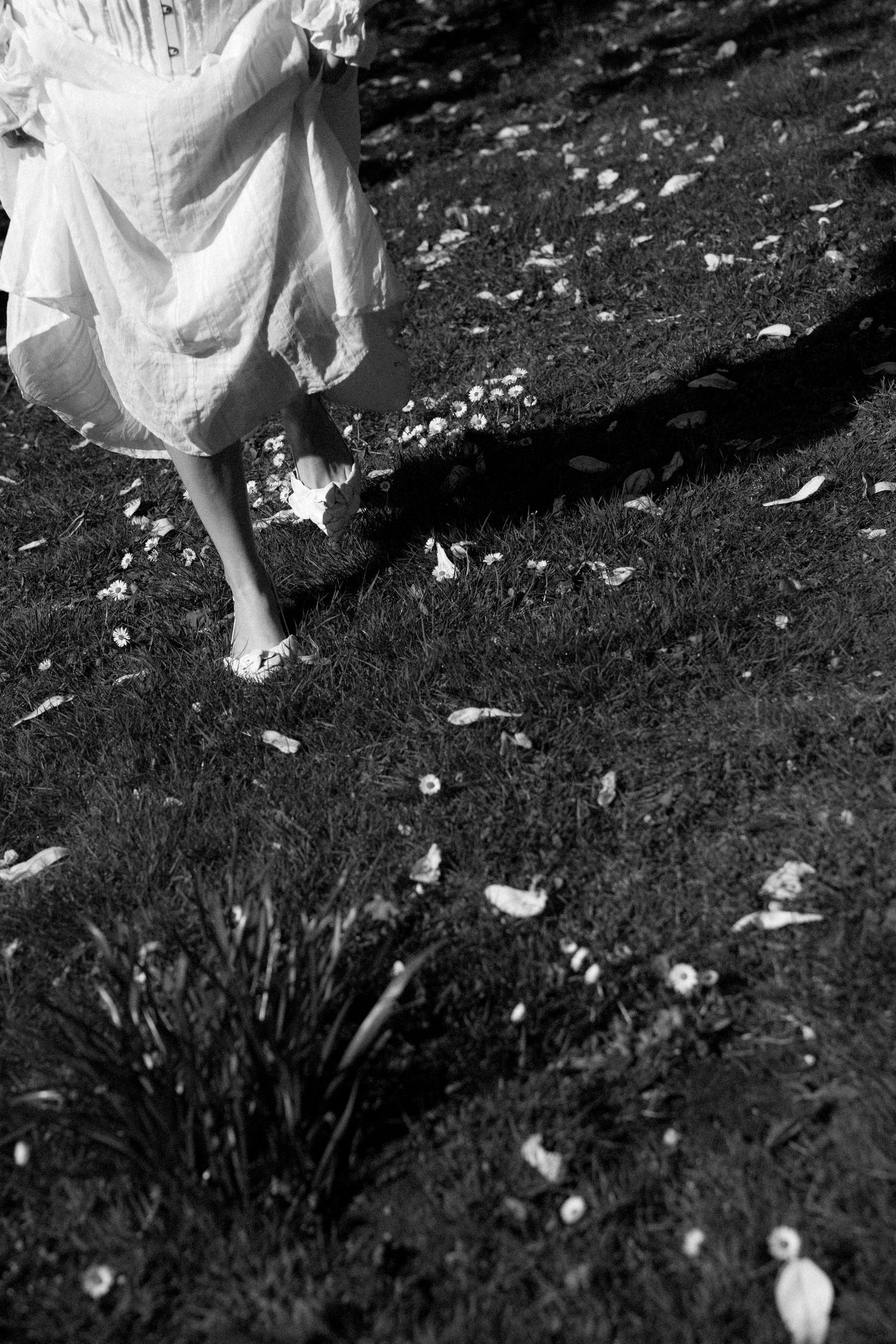 White flower petals scattered on dark grass in a romantic garden setting.
