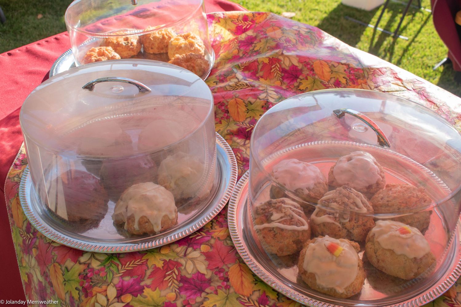 Assorted baked muffins and pastries displayed under clear plastic dome covers on a table.